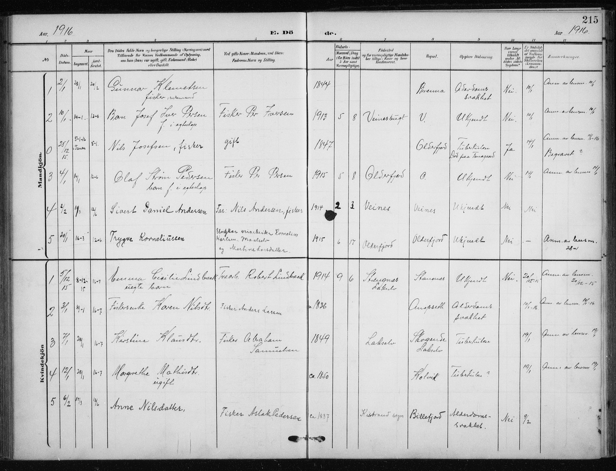 Kistrand/Porsanger sokneprestembete, AV/SATØ-S-1351/H/Ha/L0014.kirke: Ministerialbok nr. 14, 1908-1917, s. 215