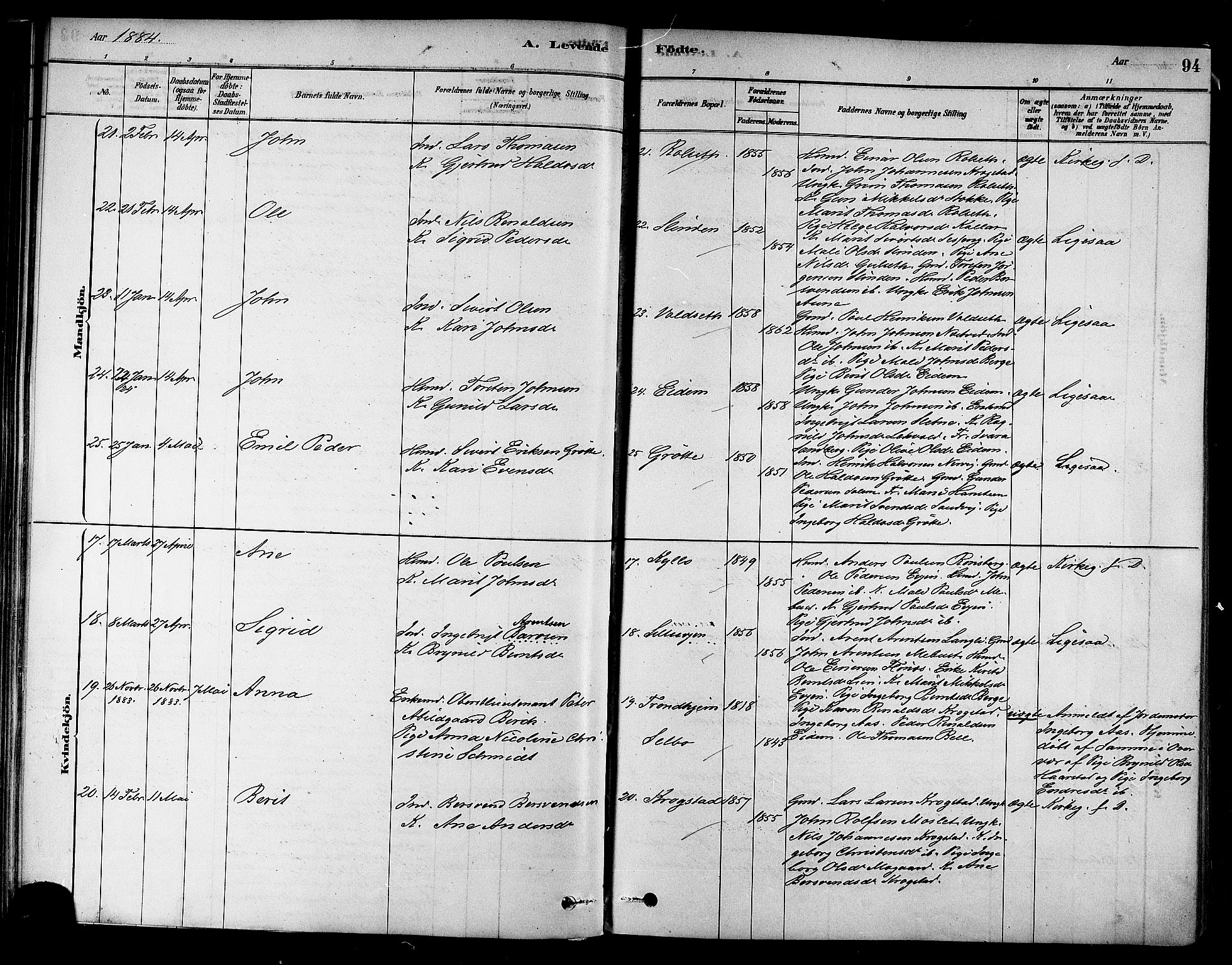 Ministerialprotokoller, klokkerbøker og fødselsregistre - Sør-Trøndelag, SAT/A-1456/695/L1148: Ministerialbok nr. 695A08, 1878-1891, s. 94