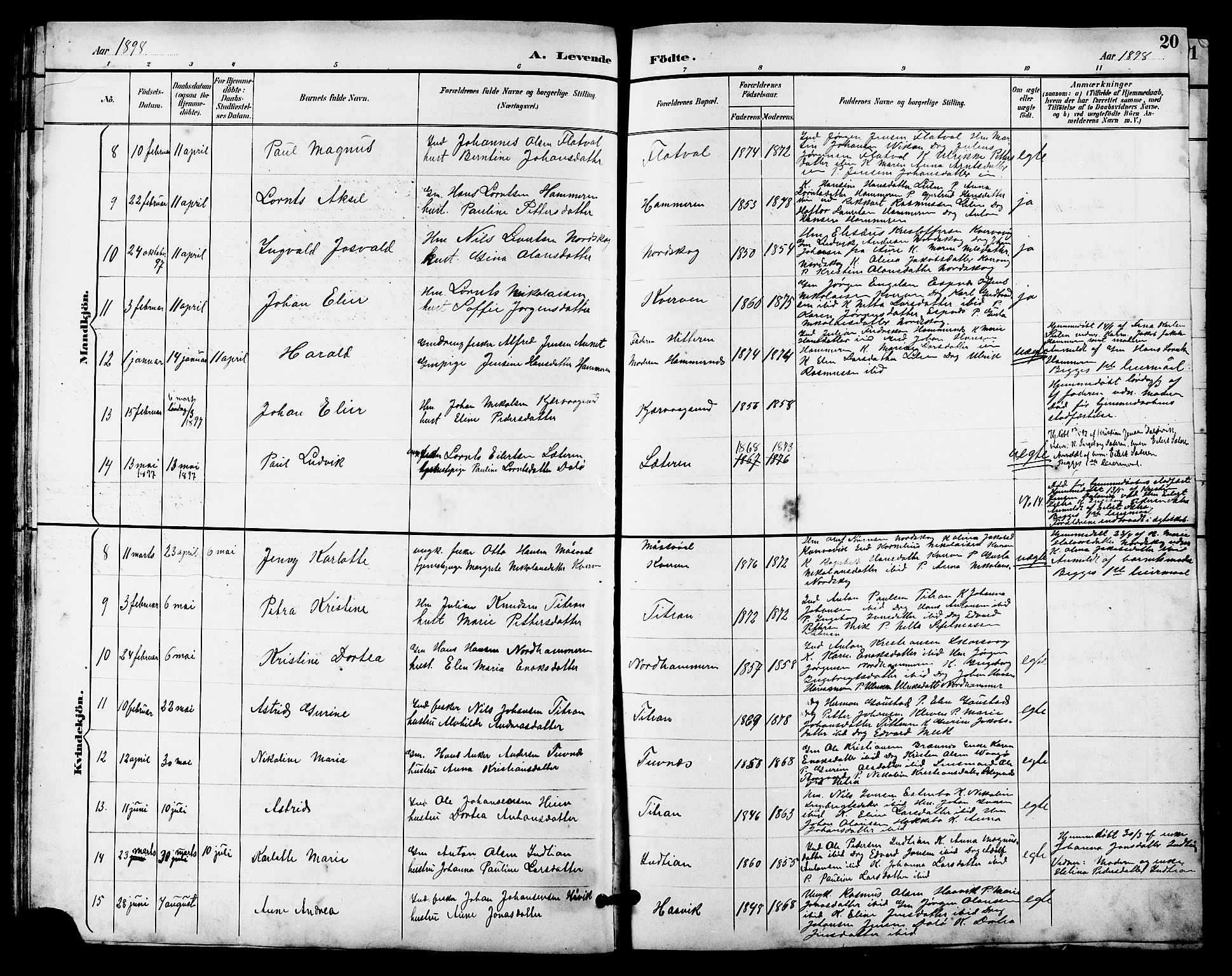 Ministerialprotokoller, klokkerbøker og fødselsregistre - Sør-Trøndelag, AV/SAT-A-1456/641/L0598: Klokkerbok nr. 641C02, 1893-1910, s. 20