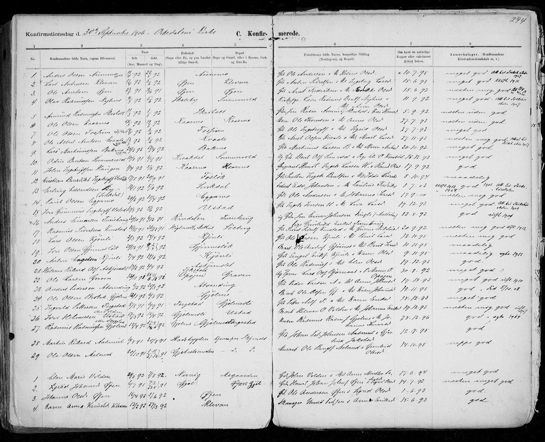 Ministerialprotokoller, klokkerbøker og fødselsregistre - Sør-Trøndelag, SAT/A-1456/668/L0811: Ministerialbok nr. 668A11, 1894-1913, s. 294