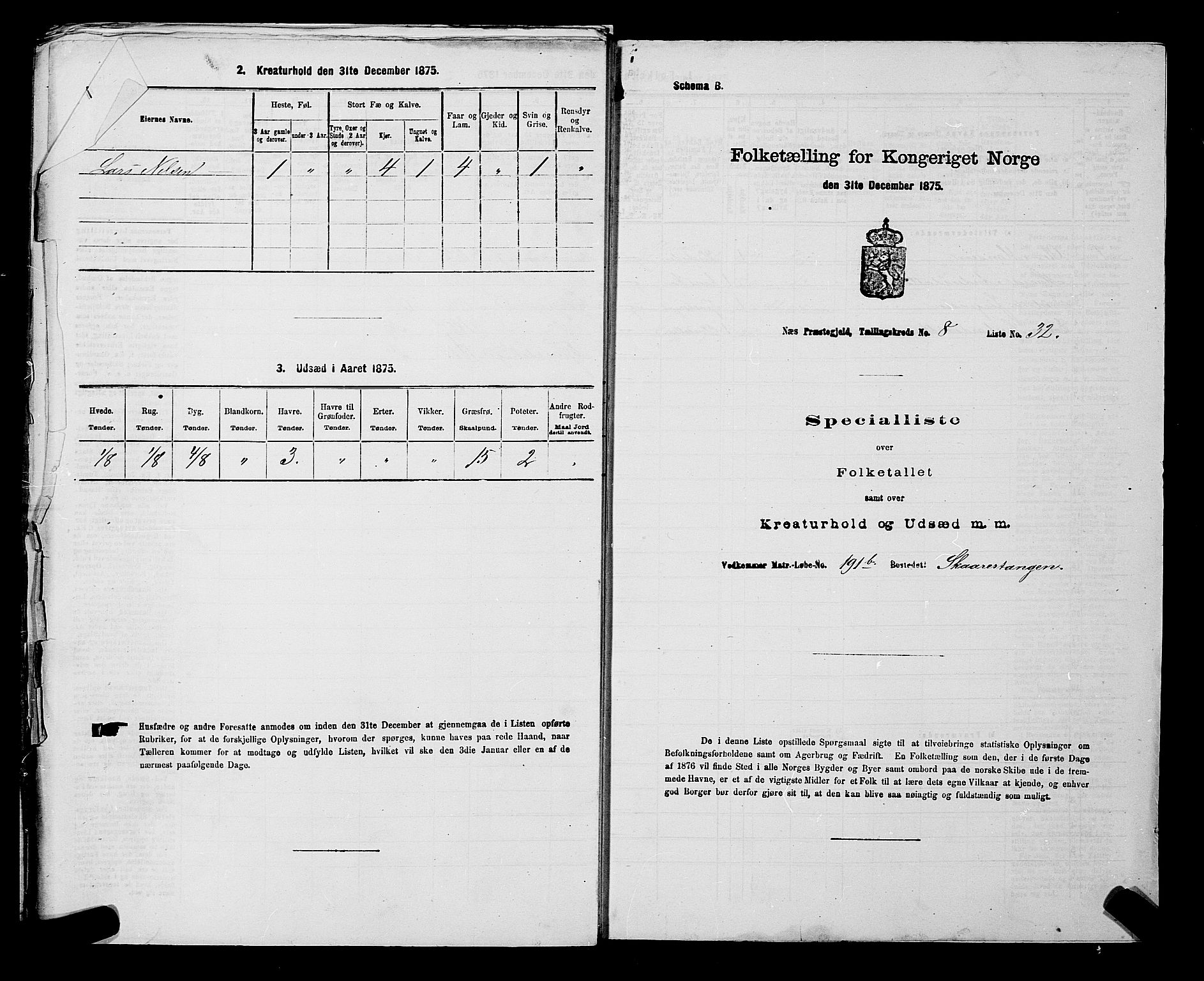 RA, Folketelling 1875 for 0236P Nes prestegjeld, 1875, s. 1495