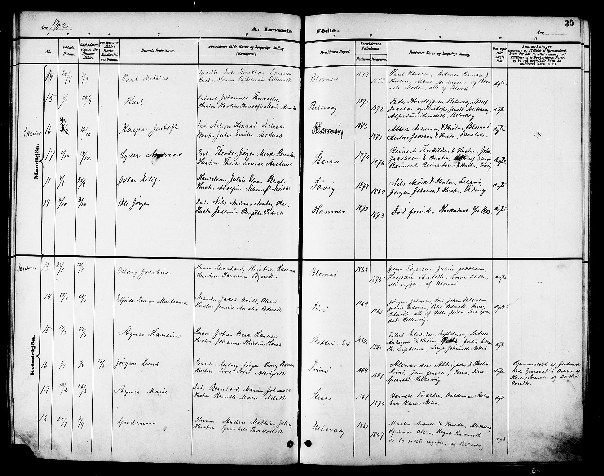 Ministerialprotokoller, klokkerbøker og fødselsregistre - Nordland, AV/SAT-A-1459/830/L0463: Klokkerbok nr. 830C05, 1895-1906, s. 35