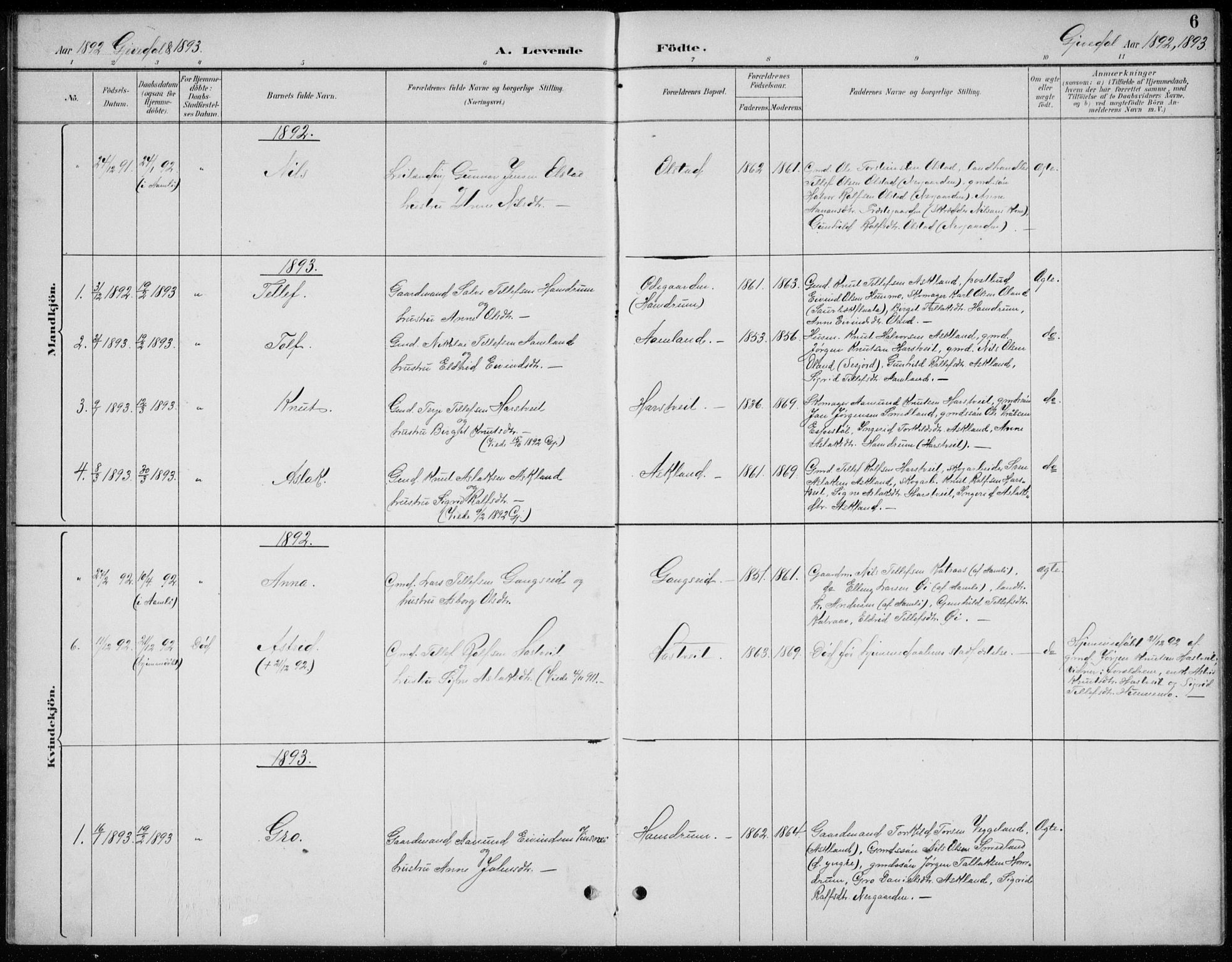 Åmli sokneprestkontor, AV/SAK-1111-0050/F/Fb/Fba/L0002: Klokkerbok nr. B 2, 1890-1912, s. 6