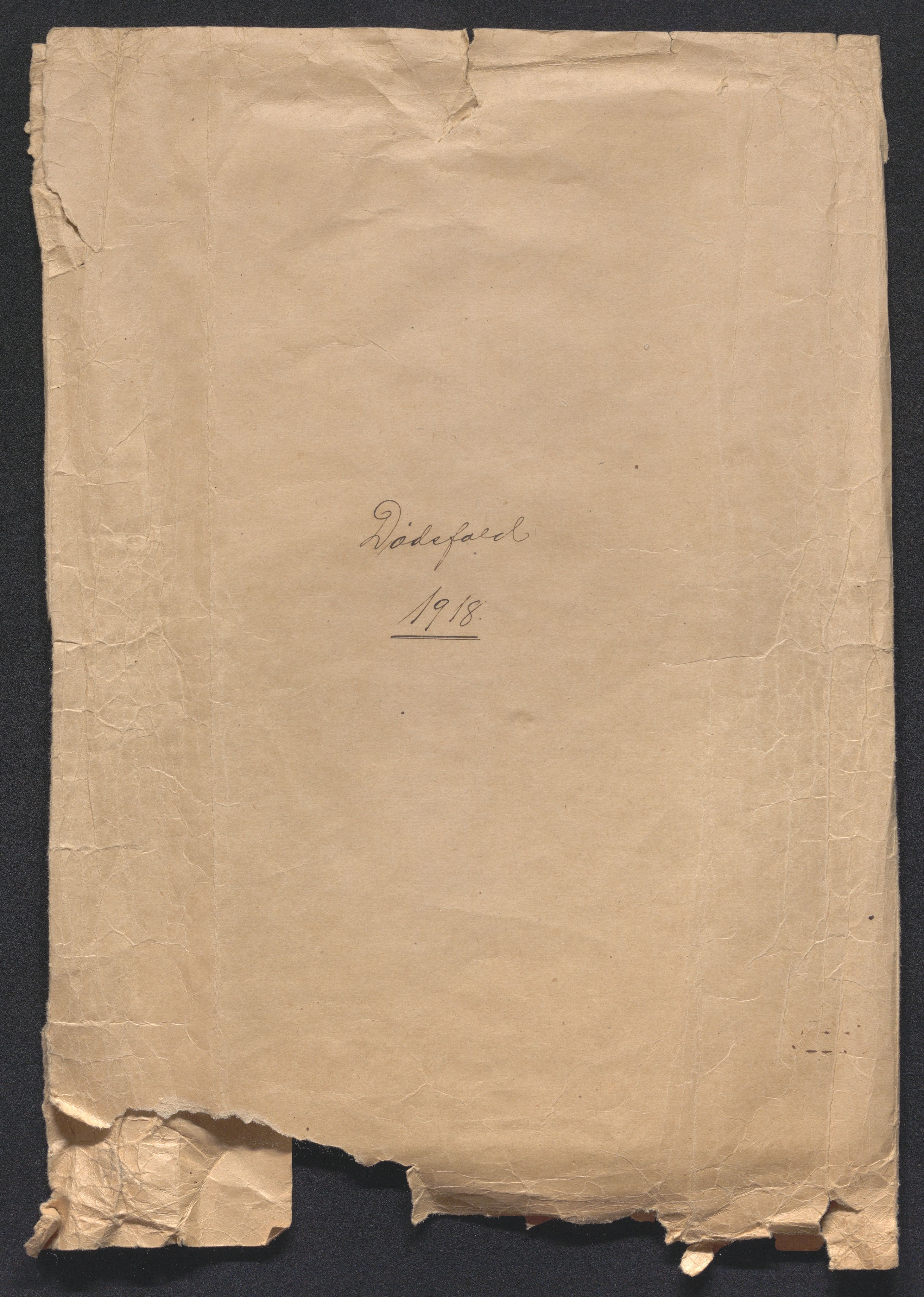 Eiker, Modum og Sigdal sorenskriveri, SAKO/A-123/H/Ha/Hab/L0039: Dødsfallsmeldinger, 1918-1919, s. 1
