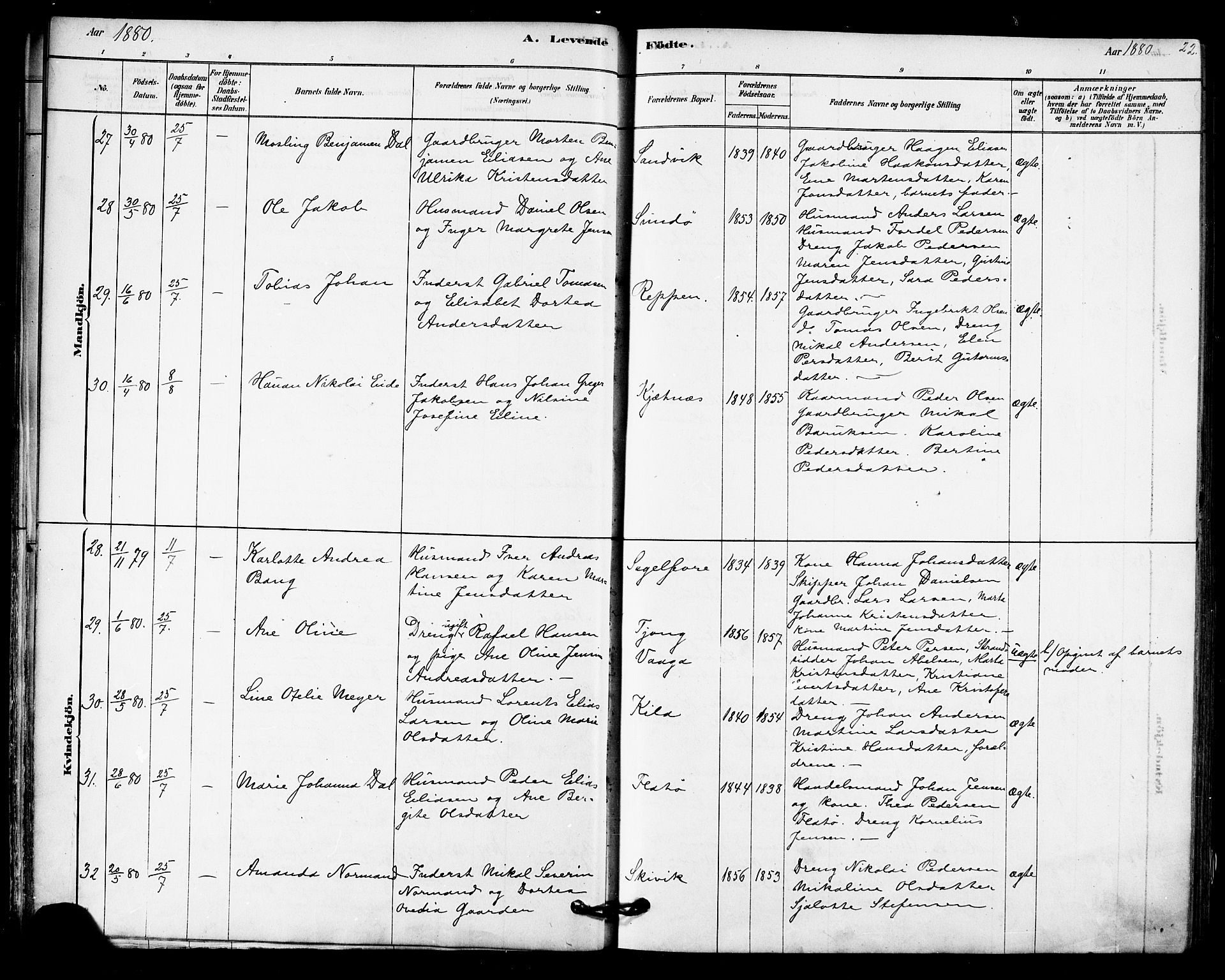 Ministerialprotokoller, klokkerbøker og fødselsregistre - Nordland, AV/SAT-A-1459/841/L0609: Ministerialbok nr. 841A12, 1878-1901, s. 22