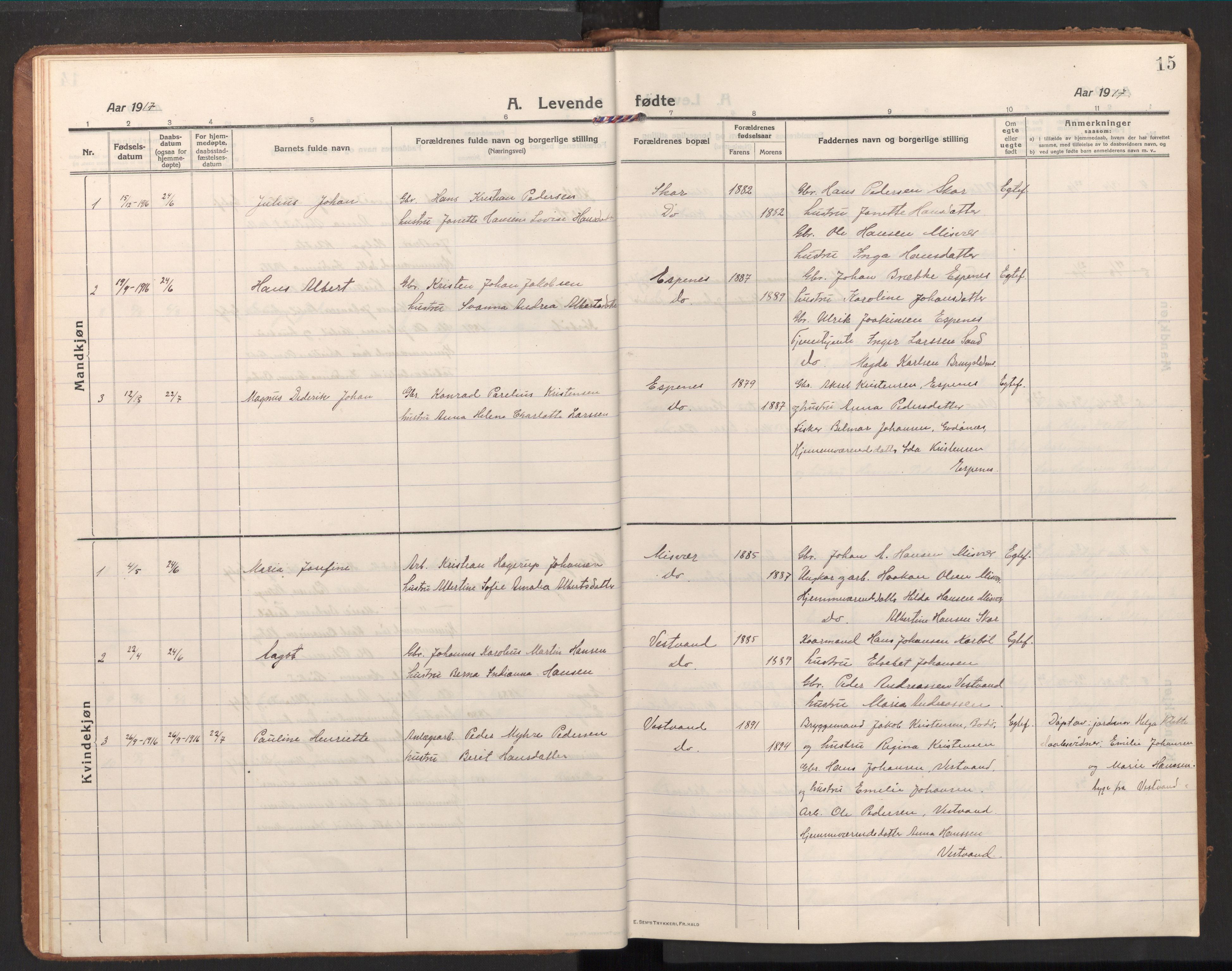 Ministerialprotokoller, klokkerbøker og fødselsregistre - Nordland, SAT/A-1459/848/L0688: Ministerialbok nr. 848A01, 1913-1935, s. 15