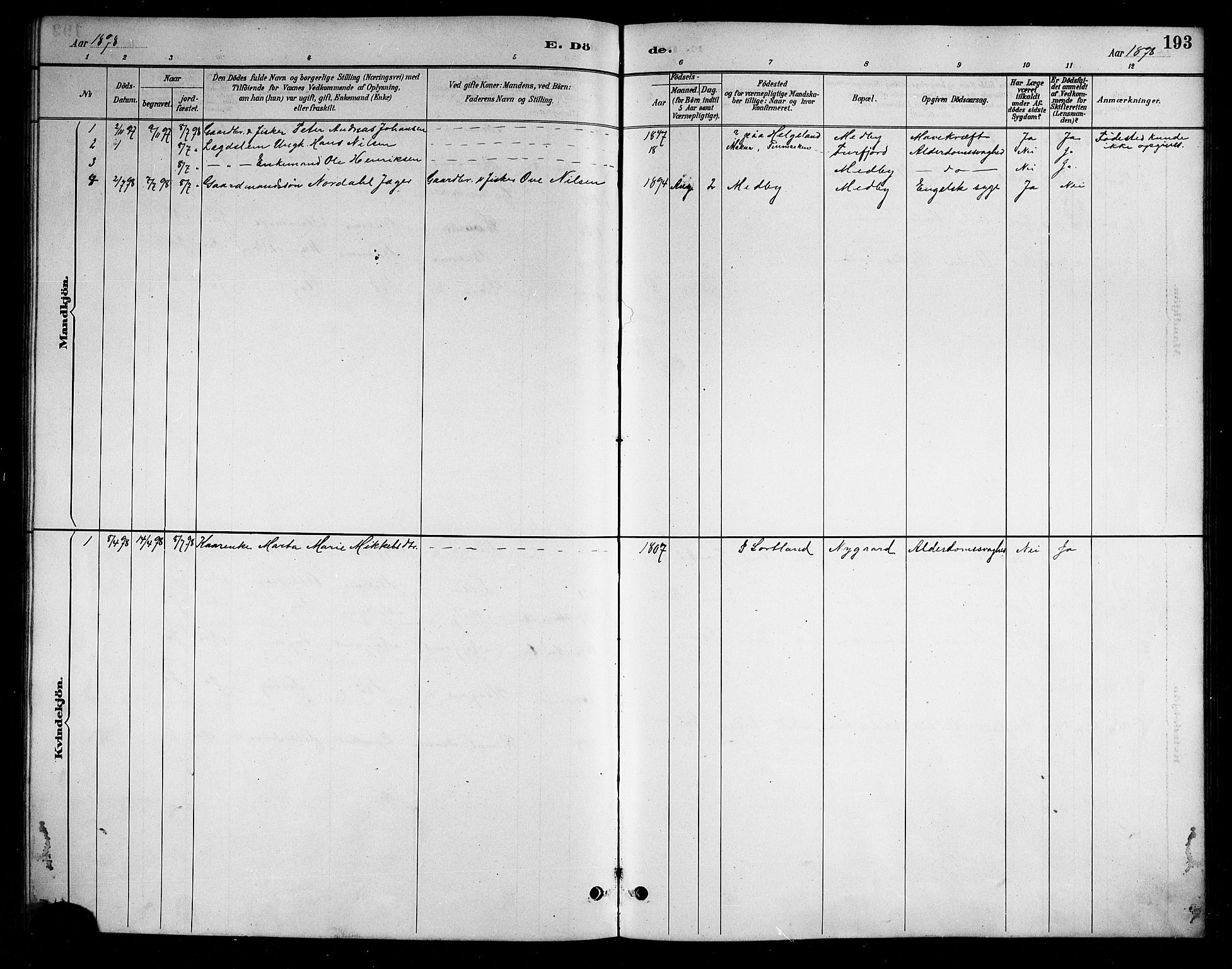 Ministerialprotokoller, klokkerbøker og fødselsregistre - Nordland, AV/SAT-A-1459/898/L1427: Klokkerbok nr. 898C02, 1887-1917, s. 193