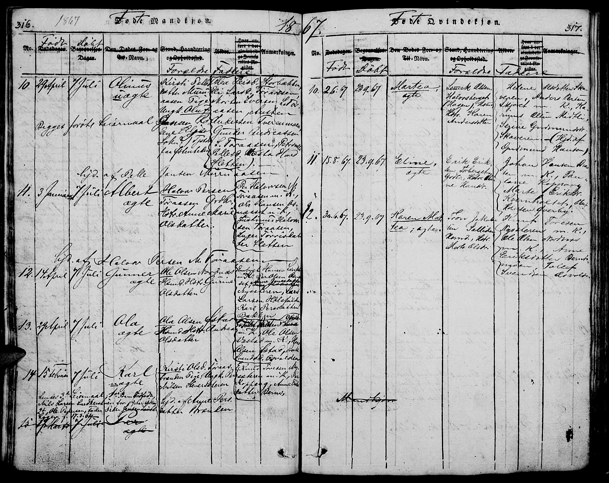 Trysil prestekontor, AV/SAH-PREST-046/H/Ha/Hab/L0005: Klokkerbok nr. 5, 1814-1877, s. 316-317