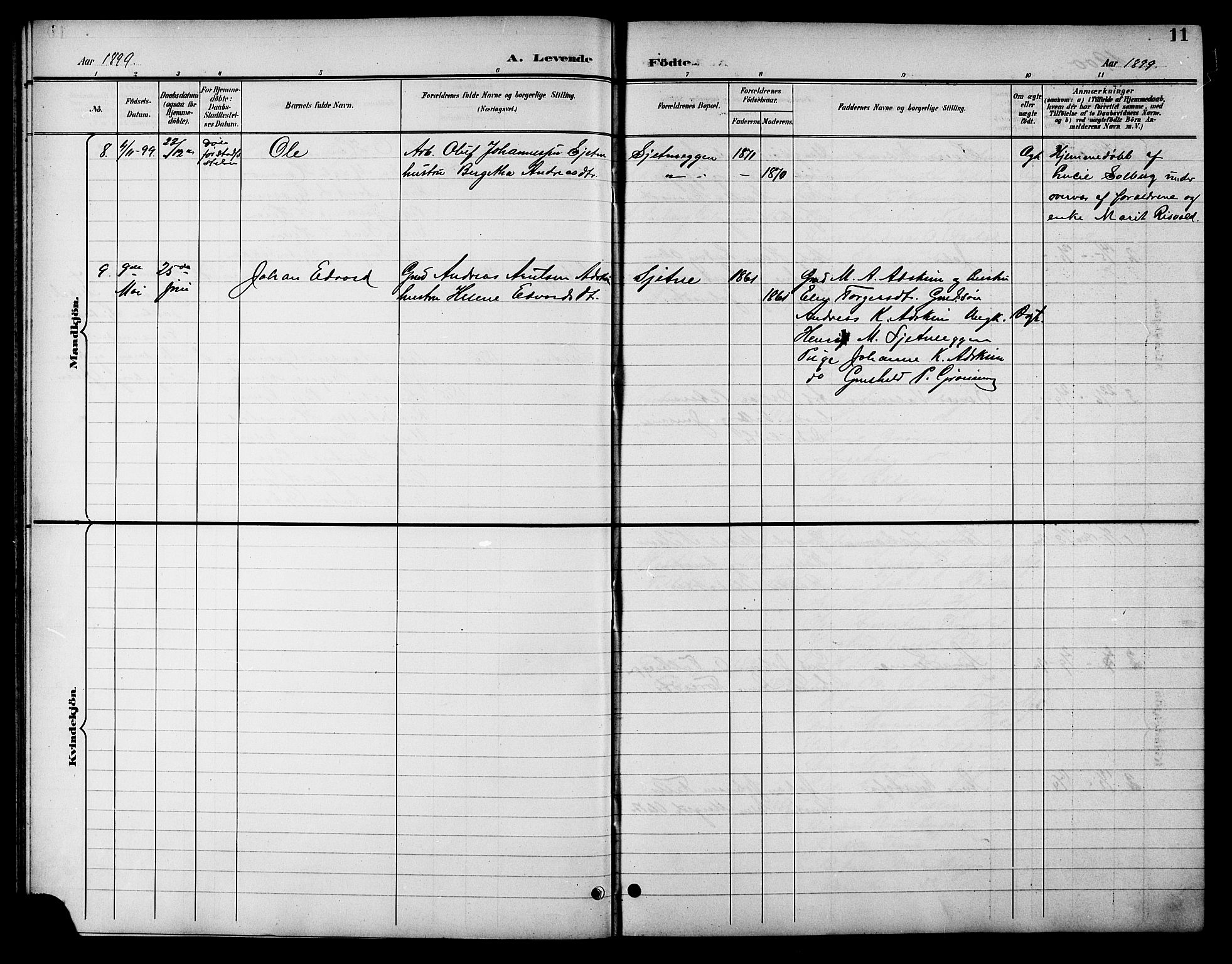 Ministerialprotokoller, klokkerbøker og fødselsregistre - Sør-Trøndelag, AV/SAT-A-1456/621/L0460: Klokkerbok nr. 621C03, 1896-1914, s. 11