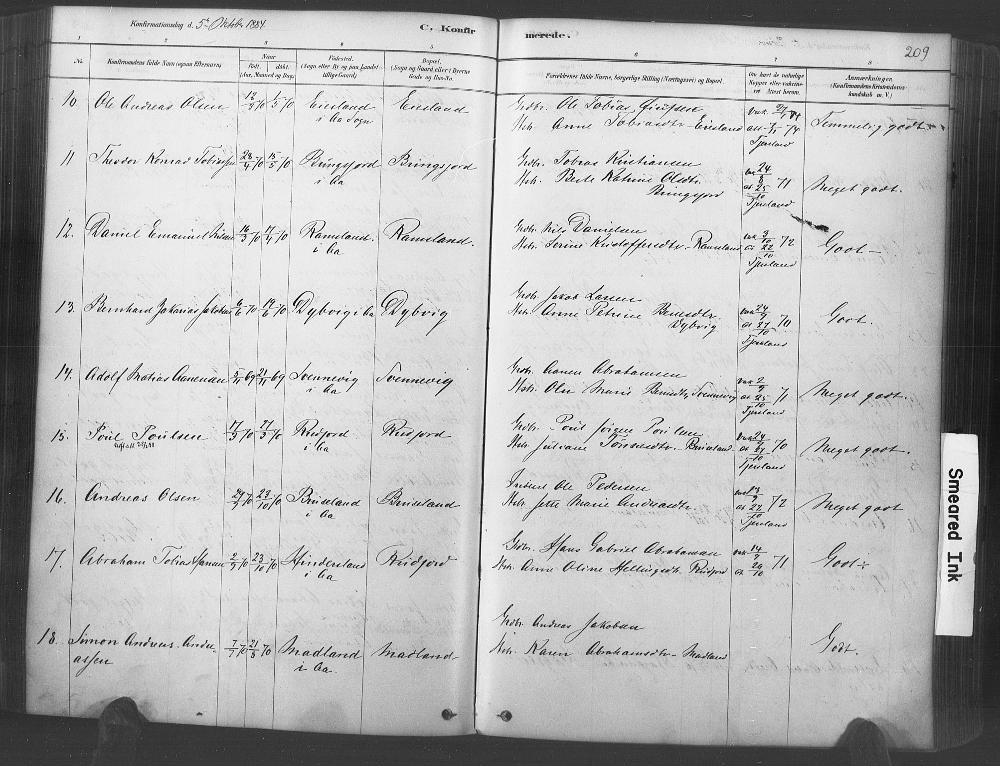 Lyngdal sokneprestkontor, AV/SAK-1111-0029/F/Fa/Fac/L0011: Ministerialbok nr. A 11, 1878-1893, s. 209