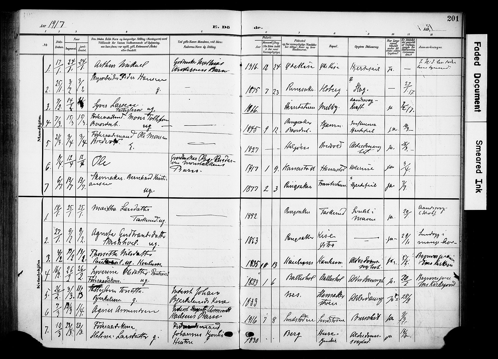 Nes prestekontor, Hedmark, AV/SAH-PREST-020/K/Ka/L0013: Ministerialbok nr. 13, 1906-1924, s. 201