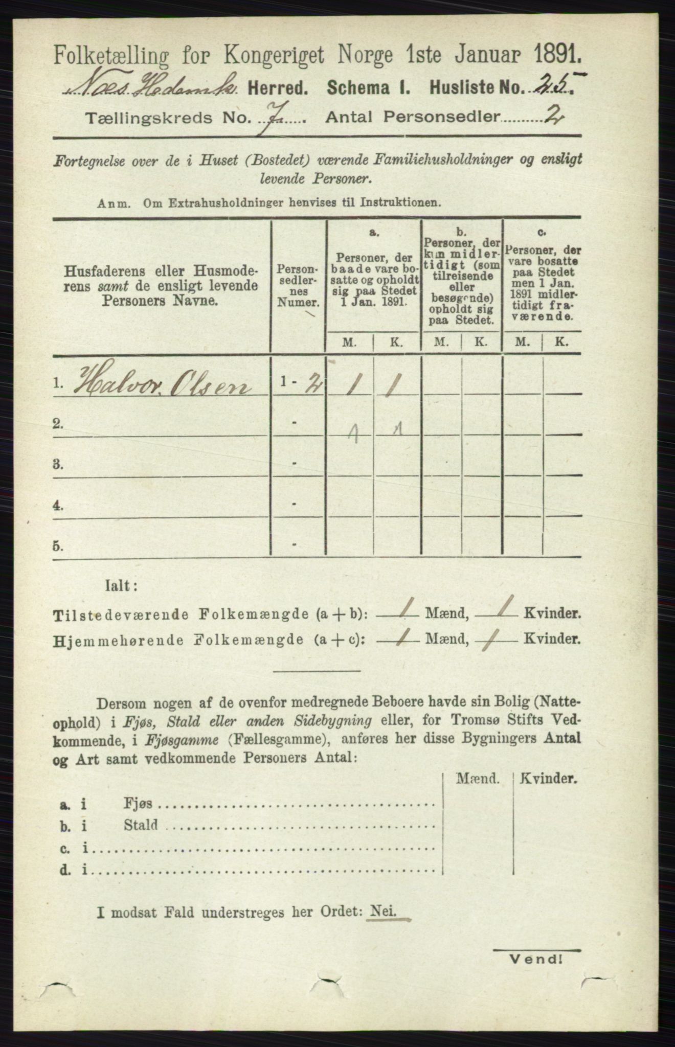 RA, Folketelling 1891 for 0411 Nes herred, 1891, s. 3853
