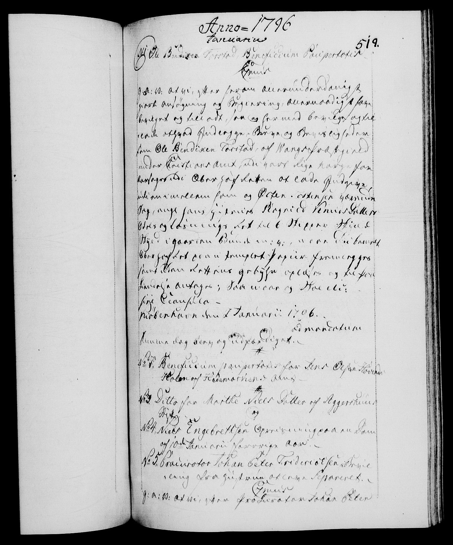 Danske Kanselli 1572-1799, RA/EA-3023/F/Fc/Fca/Fcaa/L0056: Norske registre, 1795-1796, s. 519a