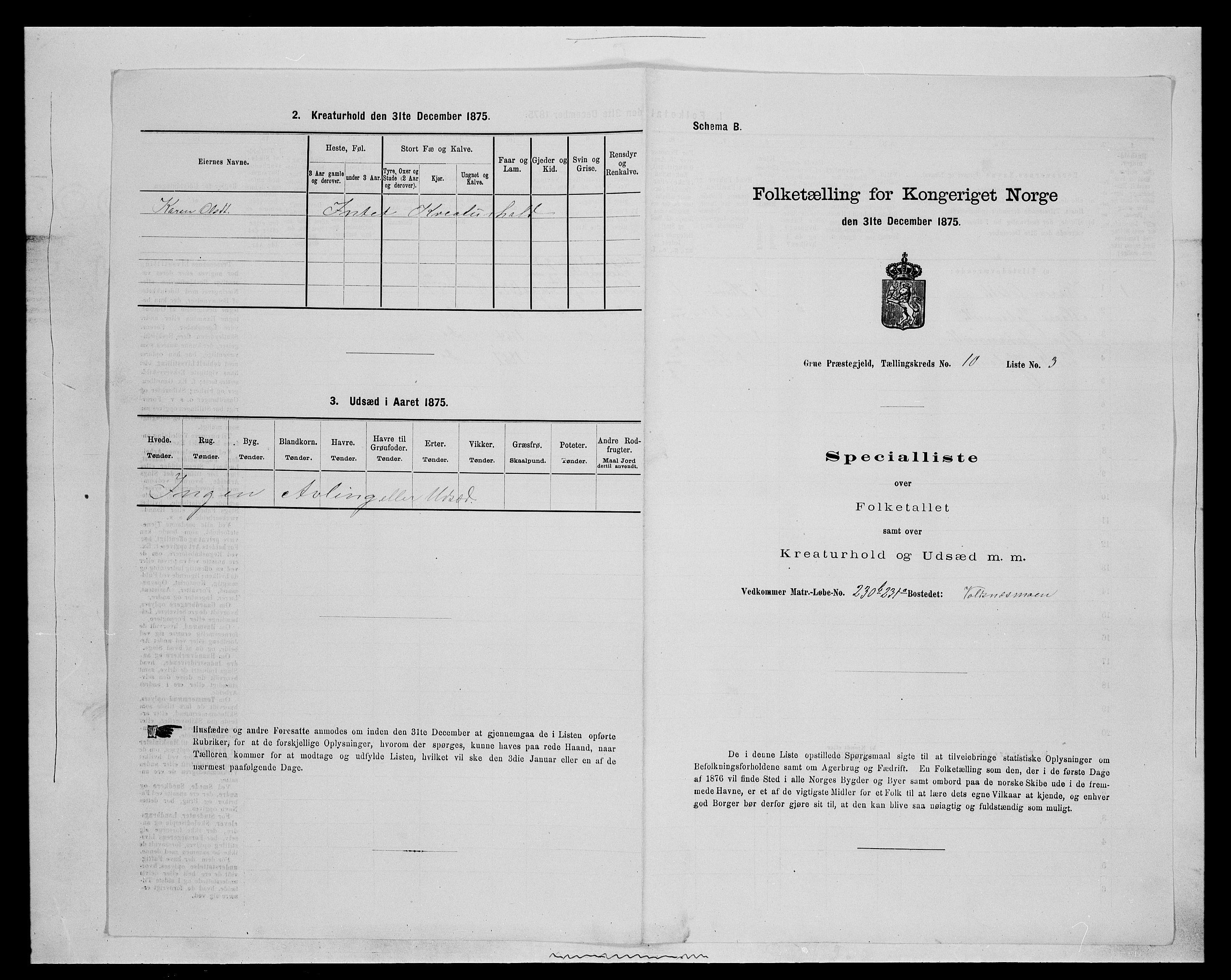 SAH, Folketelling 1875 for 0423P Grue prestegjeld, 1875, s. 1829