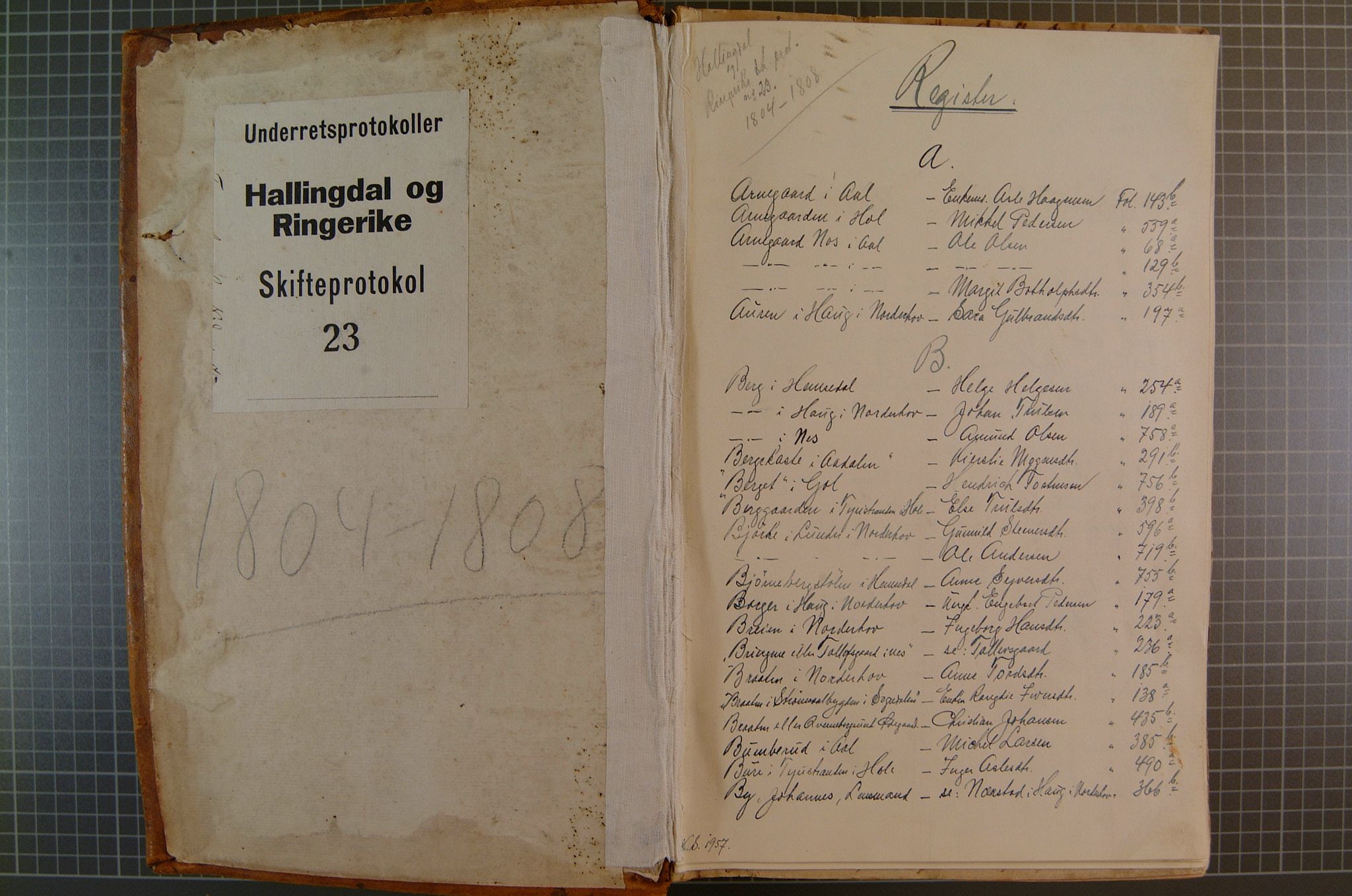 Ringerike og Hallingdal sorenskriveri, SAKO/A-81/H/Ha/L0023: Skifteprotokoll, 1804-1808