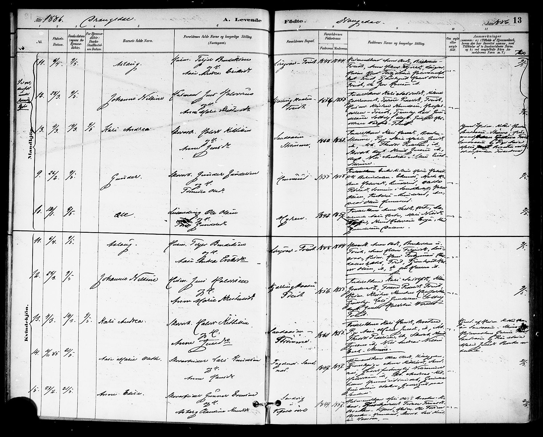 Drangedal kirkebøker, AV/SAKO-A-258/F/Fa/L0010: Ministerialbok nr. 10 /1, 1885-1894, s. 13