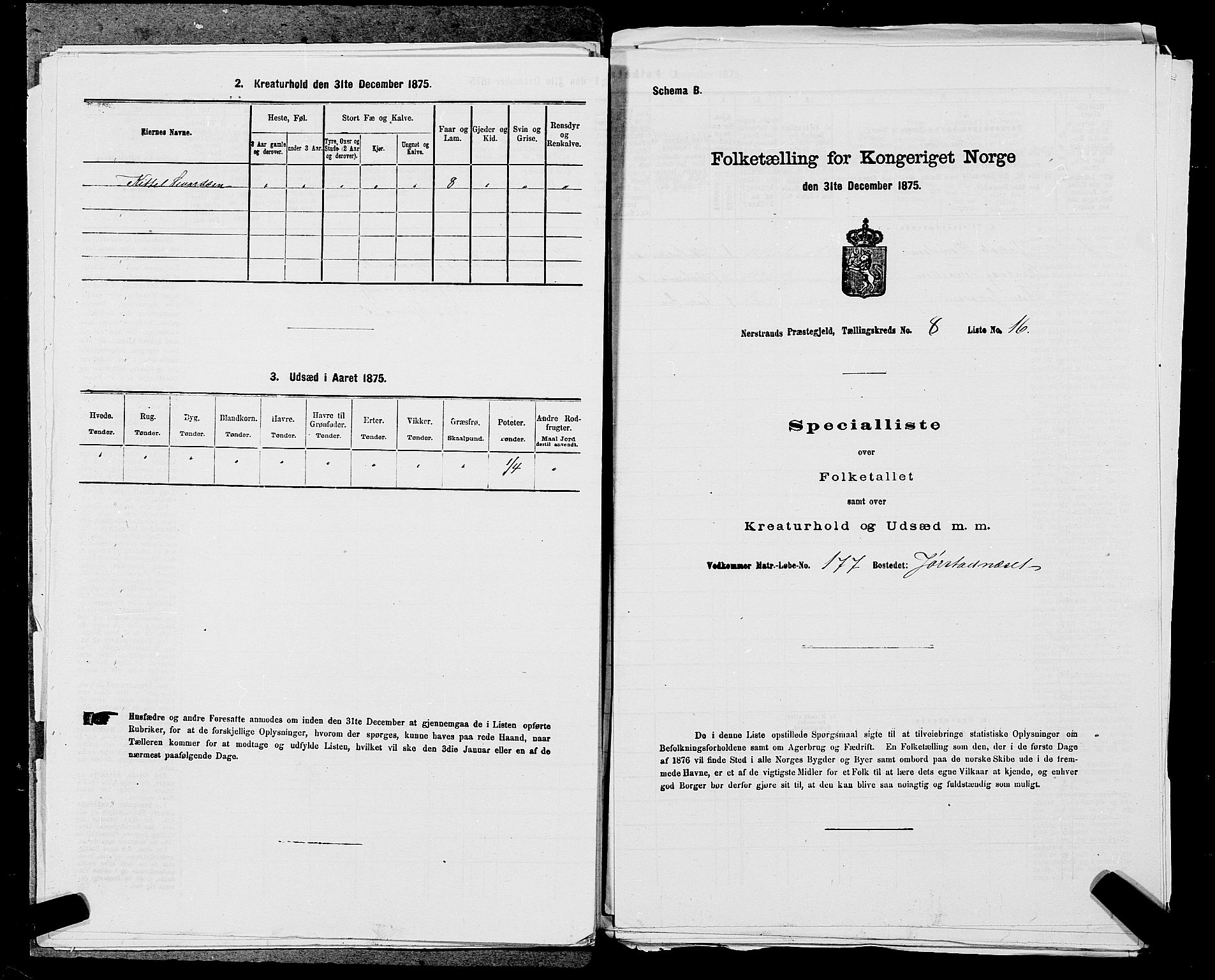 SAST, Folketelling 1875 for 1139P Nedstrand prestegjeld, 1875, s. 889