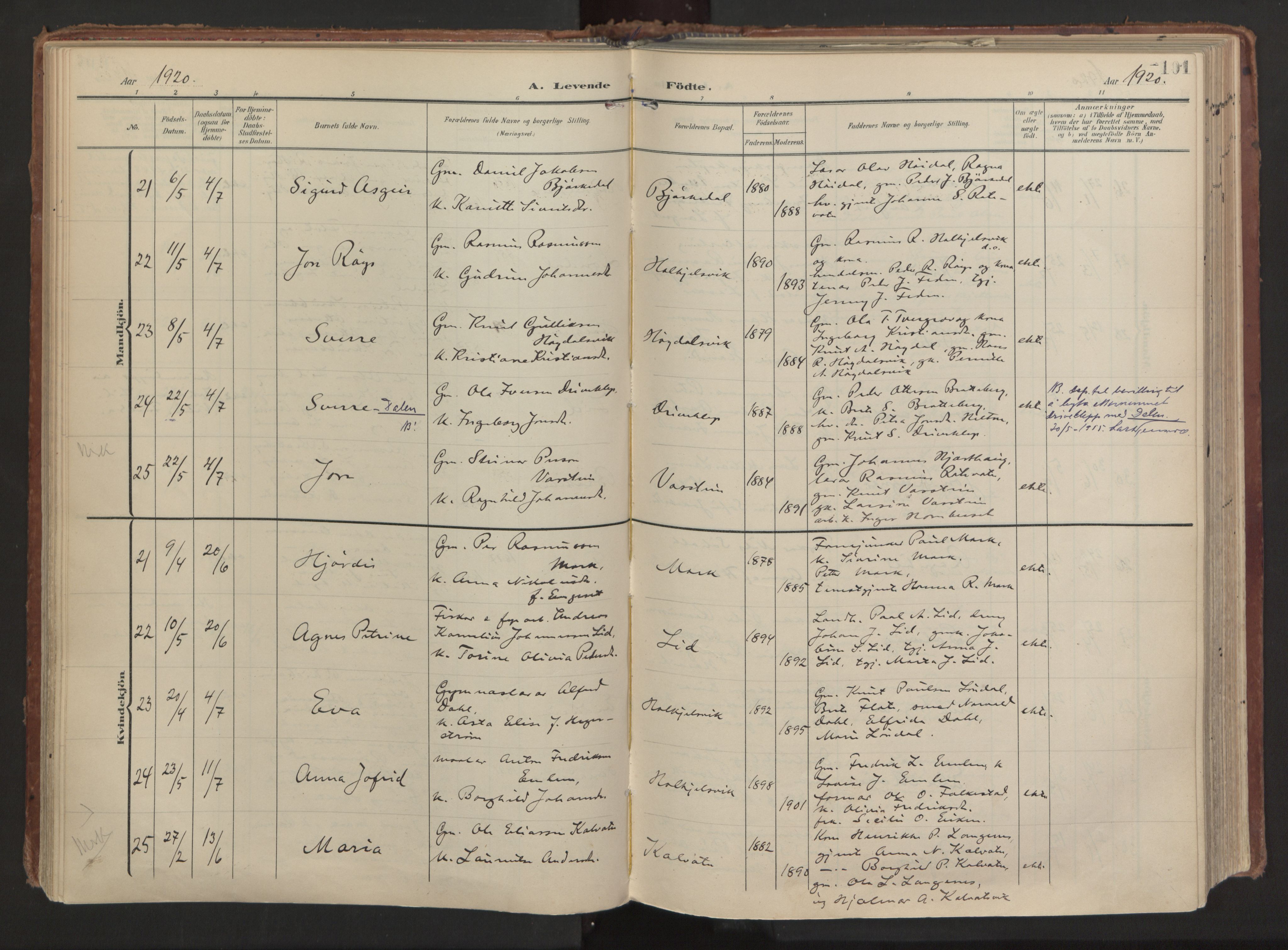 Ministerialprotokoller, klokkerbøker og fødselsregistre - Møre og Romsdal, AV/SAT-A-1454/511/L0144: Ministerialbok nr. 511A11, 1906-1923, s. 101