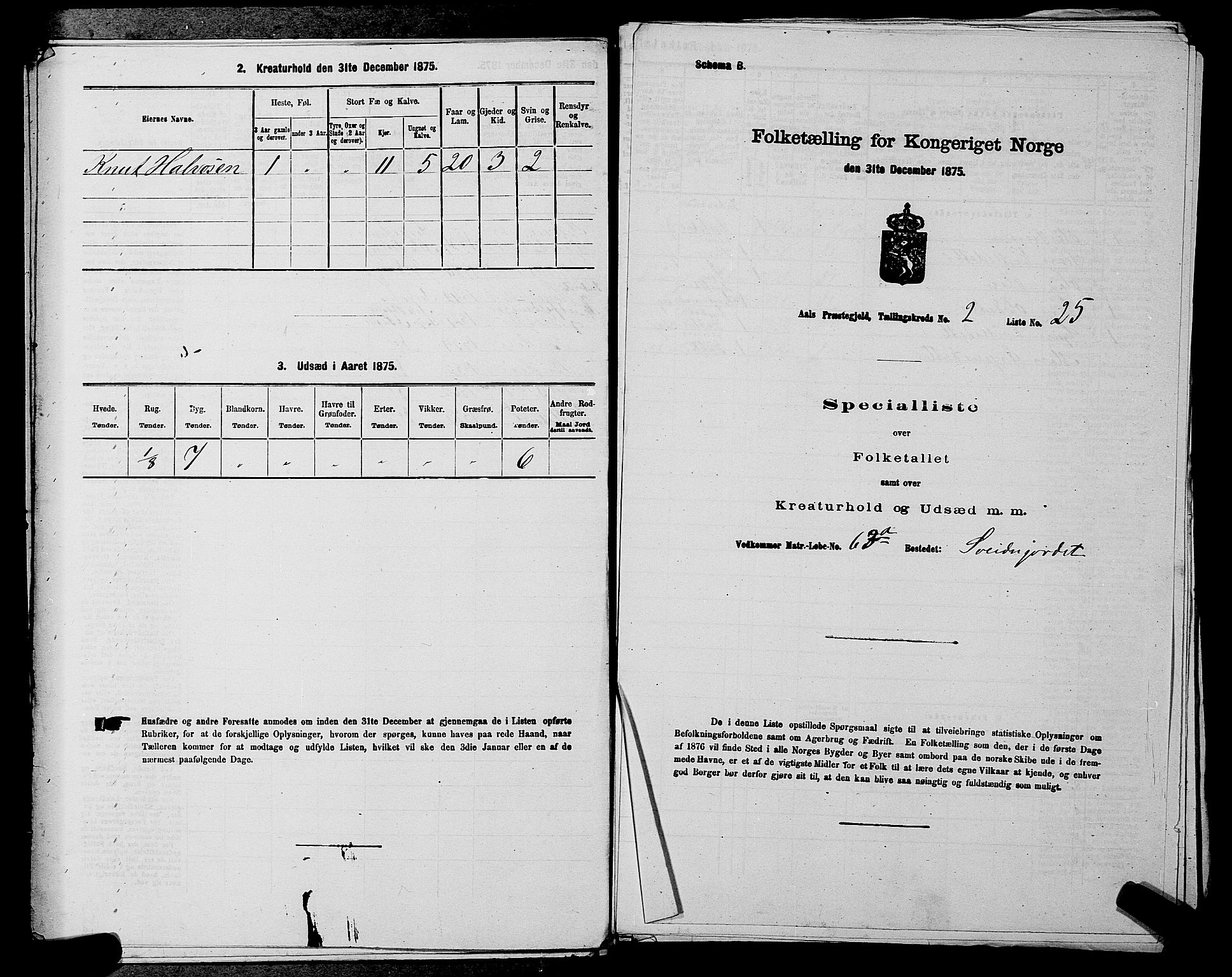 SAKO, Folketelling 1875 for 0619P Ål prestegjeld, 1875, s. 236