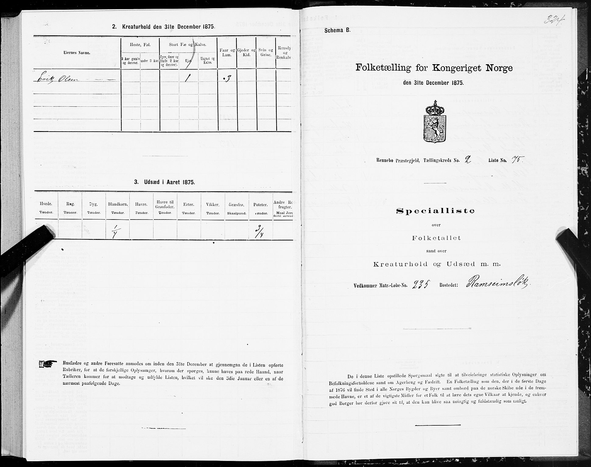 SAT, Folketelling 1875 for 1635P Rennebu prestegjeld, 1875, s. 1324