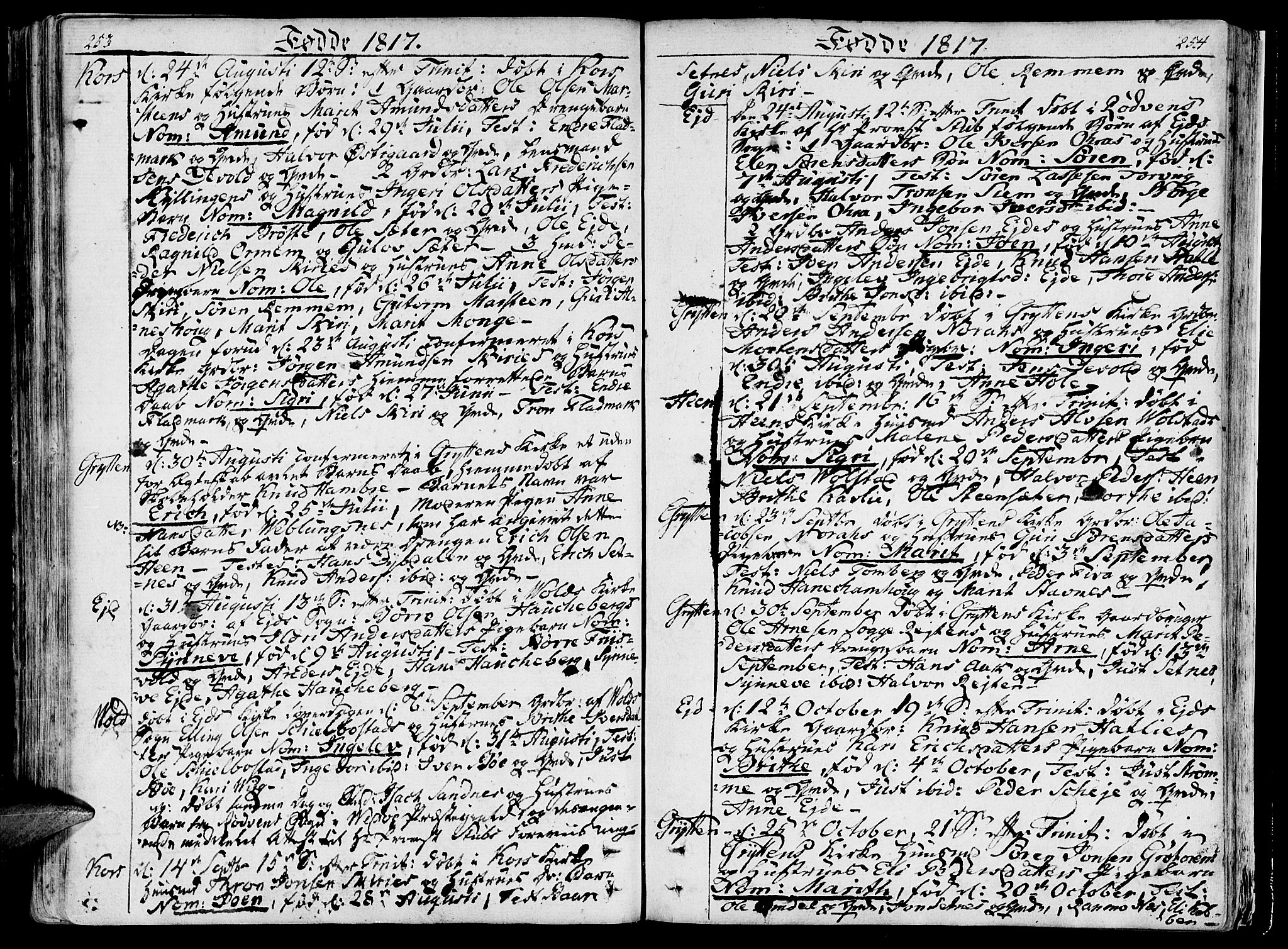 Ministerialprotokoller, klokkerbøker og fødselsregistre - Møre og Romsdal, AV/SAT-A-1454/544/L0570: Ministerialbok nr. 544A03, 1807-1817, s. 253-254