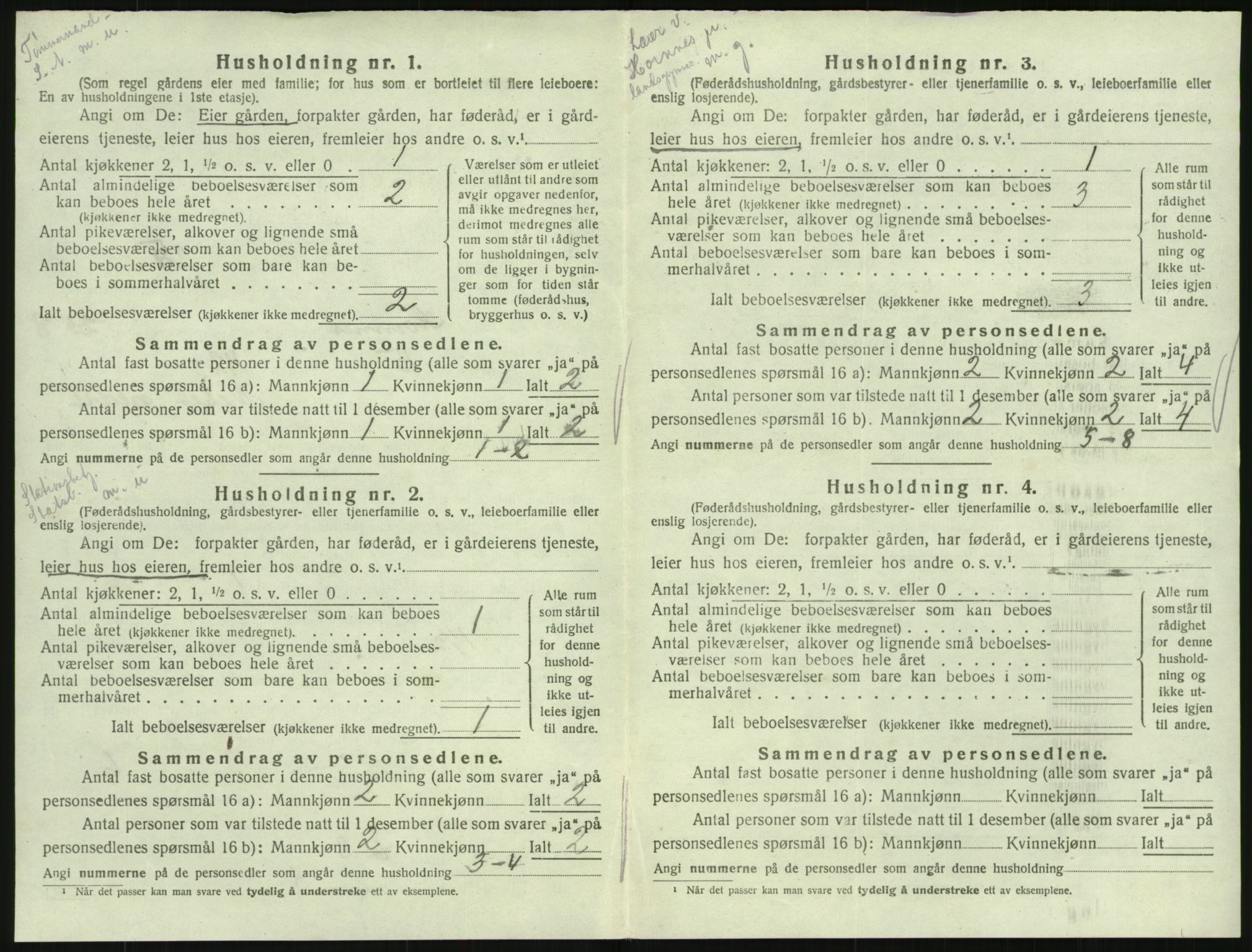 SAK, Folketelling 1920 for 0936 Hornnes herred, 1920, s. 344