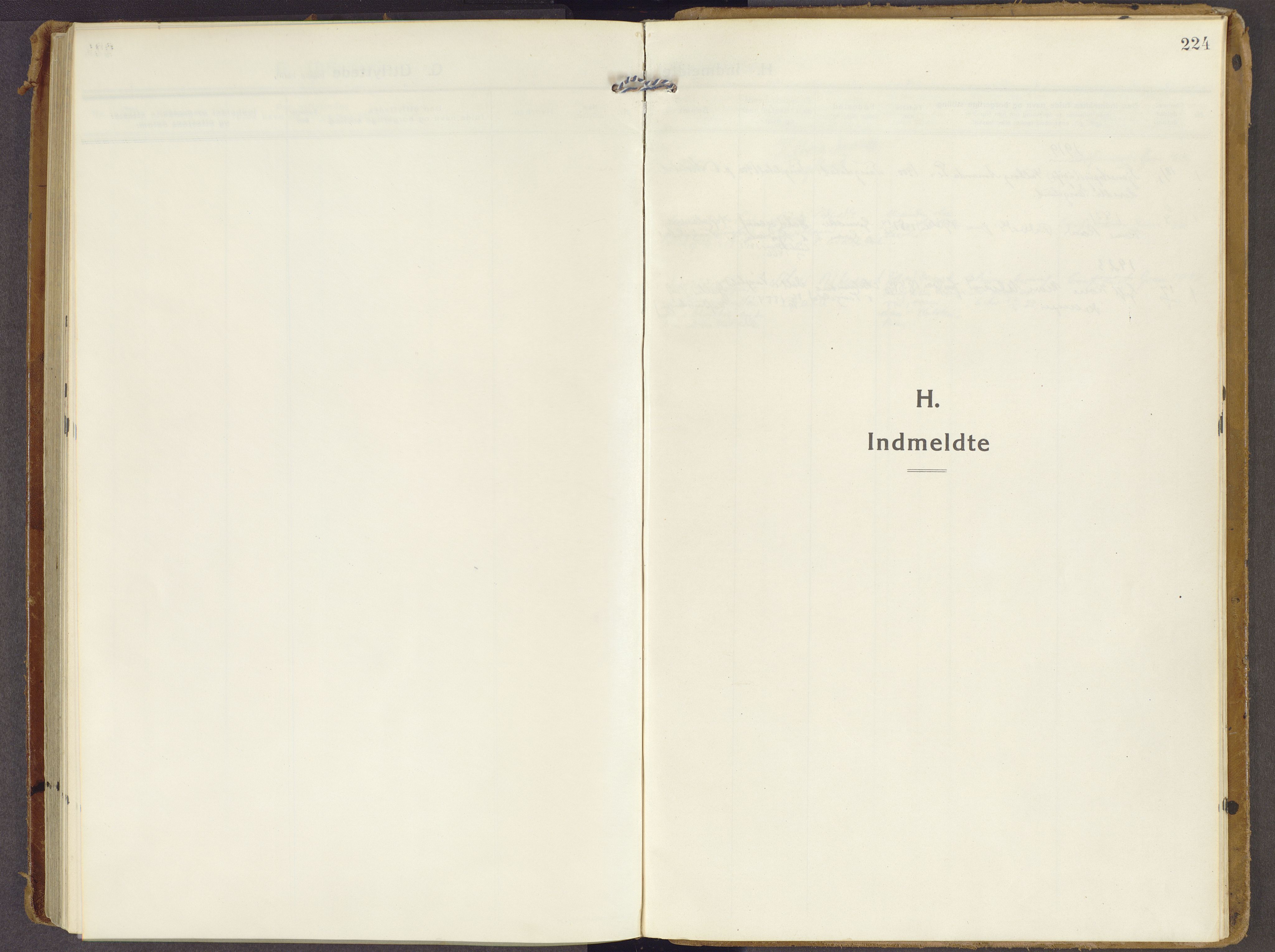 Brandbu prestekontor, AV/SAH-PREST-114/H/Ha/Haa/L0003: Ministerialbok nr. 3, 1914-1928, s. 224