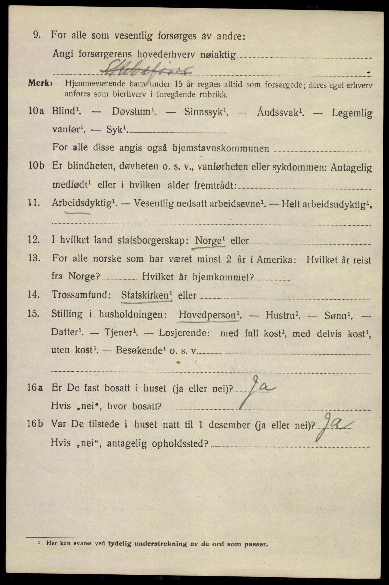 SAKO, Folketelling 1920 for 0801 Kragerø kjøpstad, 1920, s. 12994