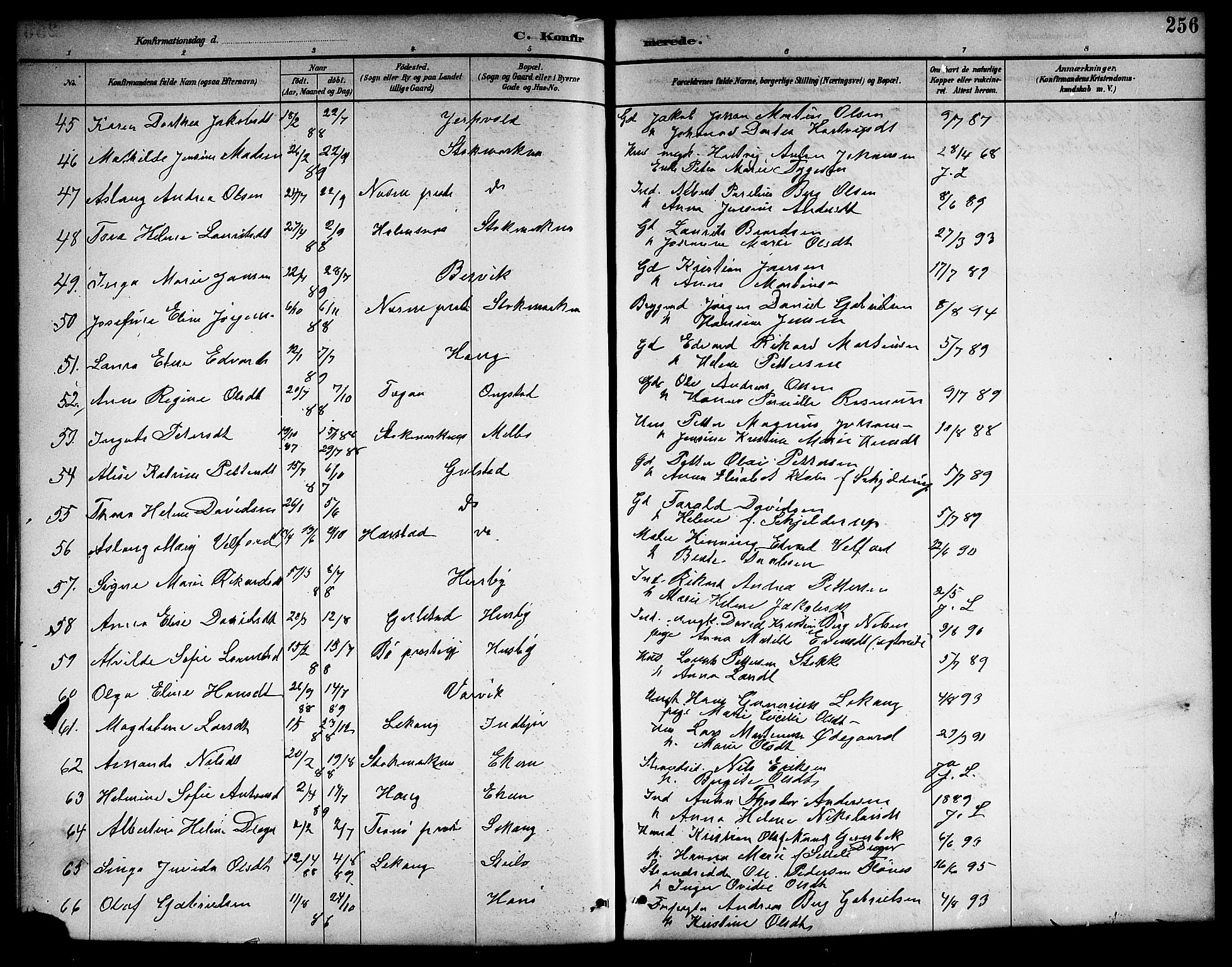 Ministerialprotokoller, klokkerbøker og fødselsregistre - Nordland, AV/SAT-A-1459/888/L1268: Klokkerbok nr. 888C06, 1891-1908, s. 256