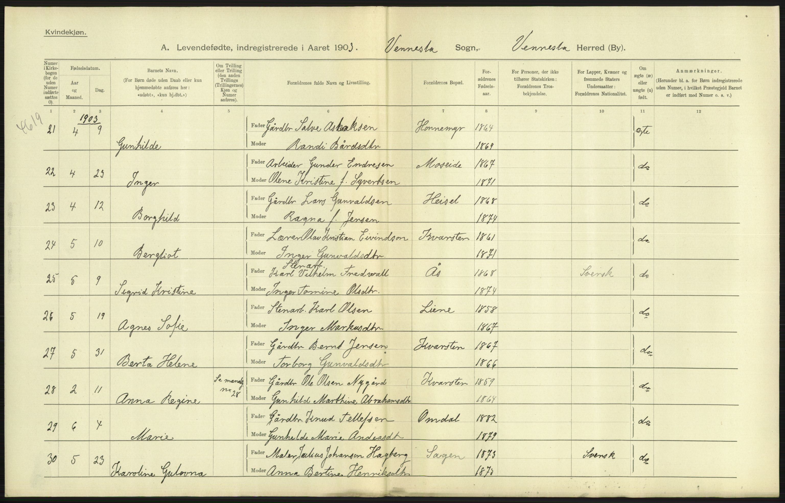 Statistisk sentralbyrå, Sosiodemografiske emner, Befolkning, AV/RA-S-2228/D/Df/Dfa/Dfaa/L0011: Lister og Mandal amt: Fødte, gifte, døde, 1903, s. 173