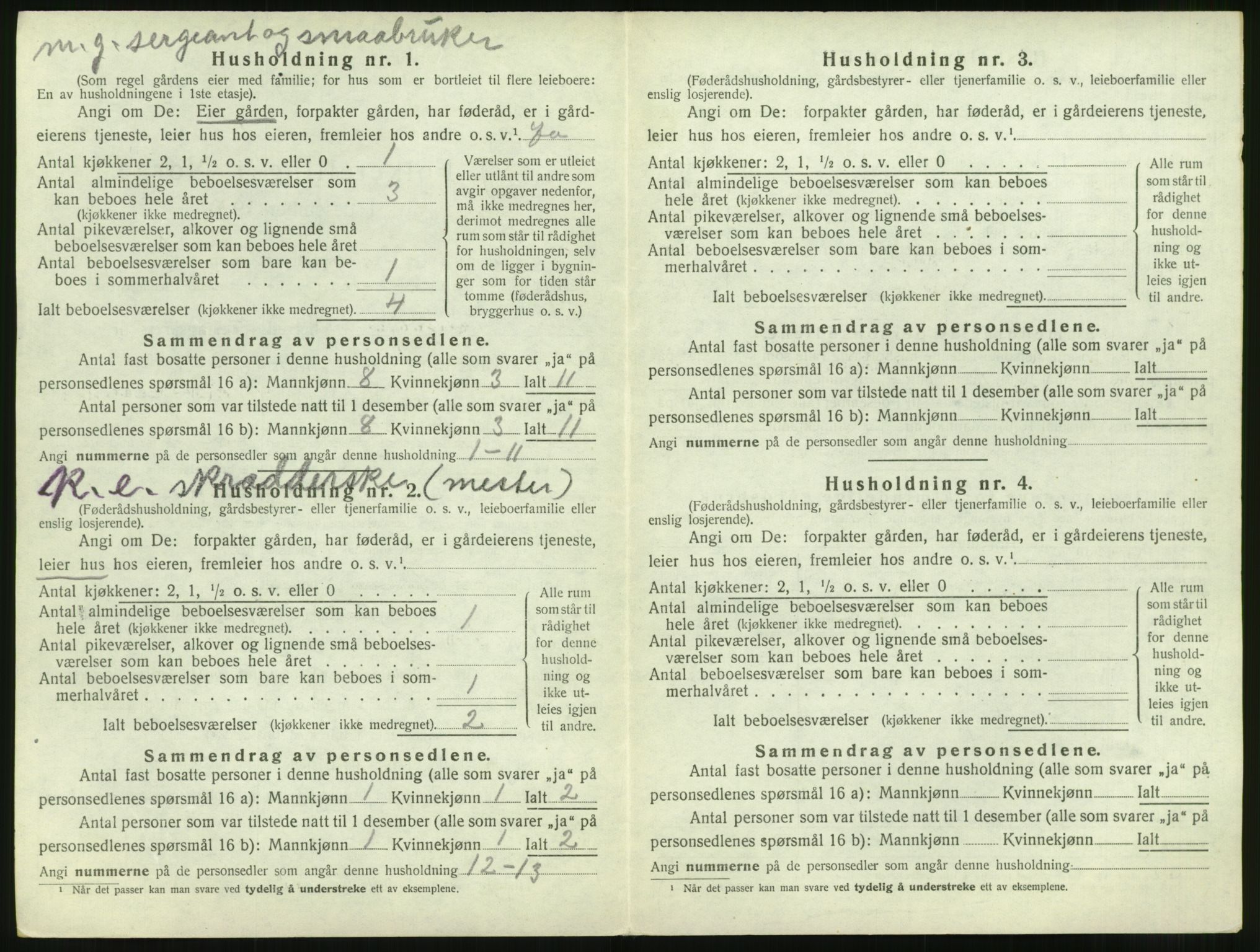 SAT, Folketelling 1920 for 1530 Vatne herred, 1920, s. 333
