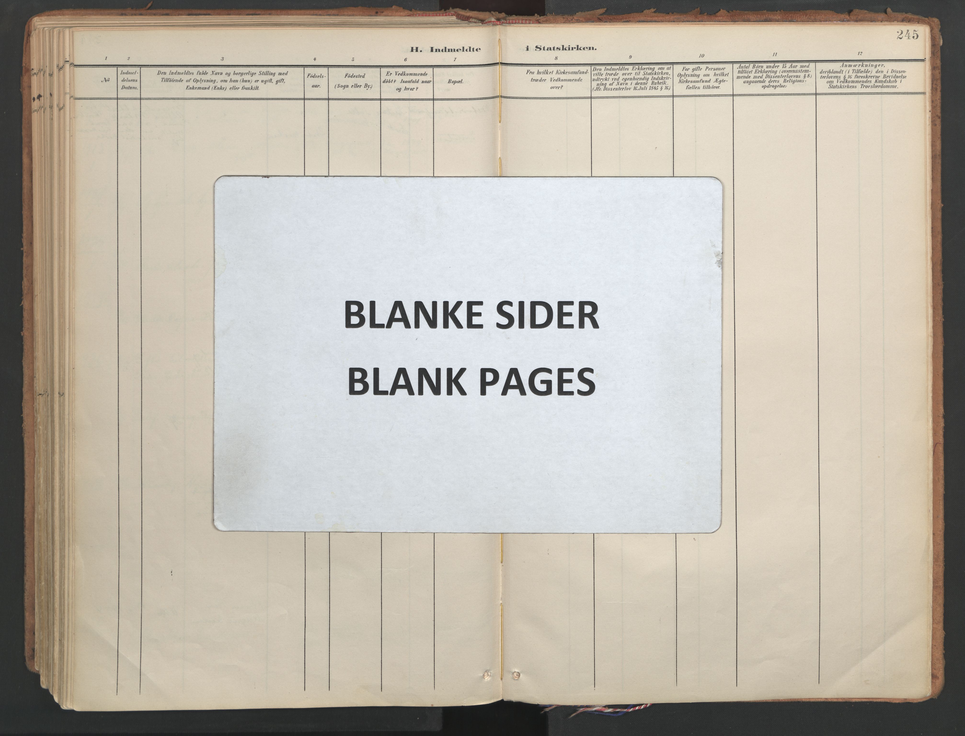 Ministerialprotokoller, klokkerbøker og fødselsregistre - Møre og Romsdal, AV/SAT-A-1454/564/L0741: Ministerialbok nr. 564A02, 1900-1976, s. 245