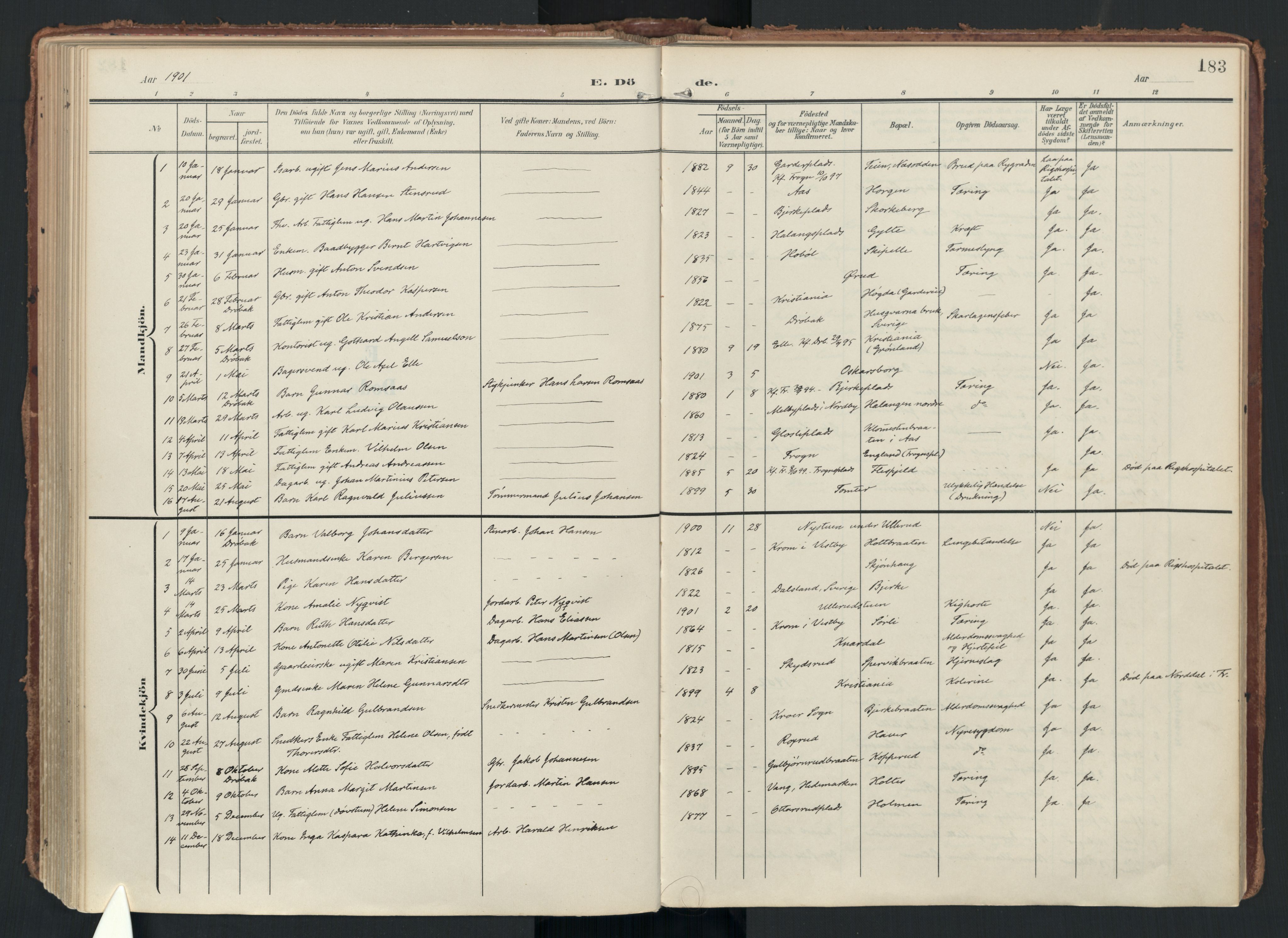 Drøbak prestekontor Kirkebøker, AV/SAO-A-10142a/F/Fc/L0003: Ministerialbok nr. III 3, 1901-1920, s. 183