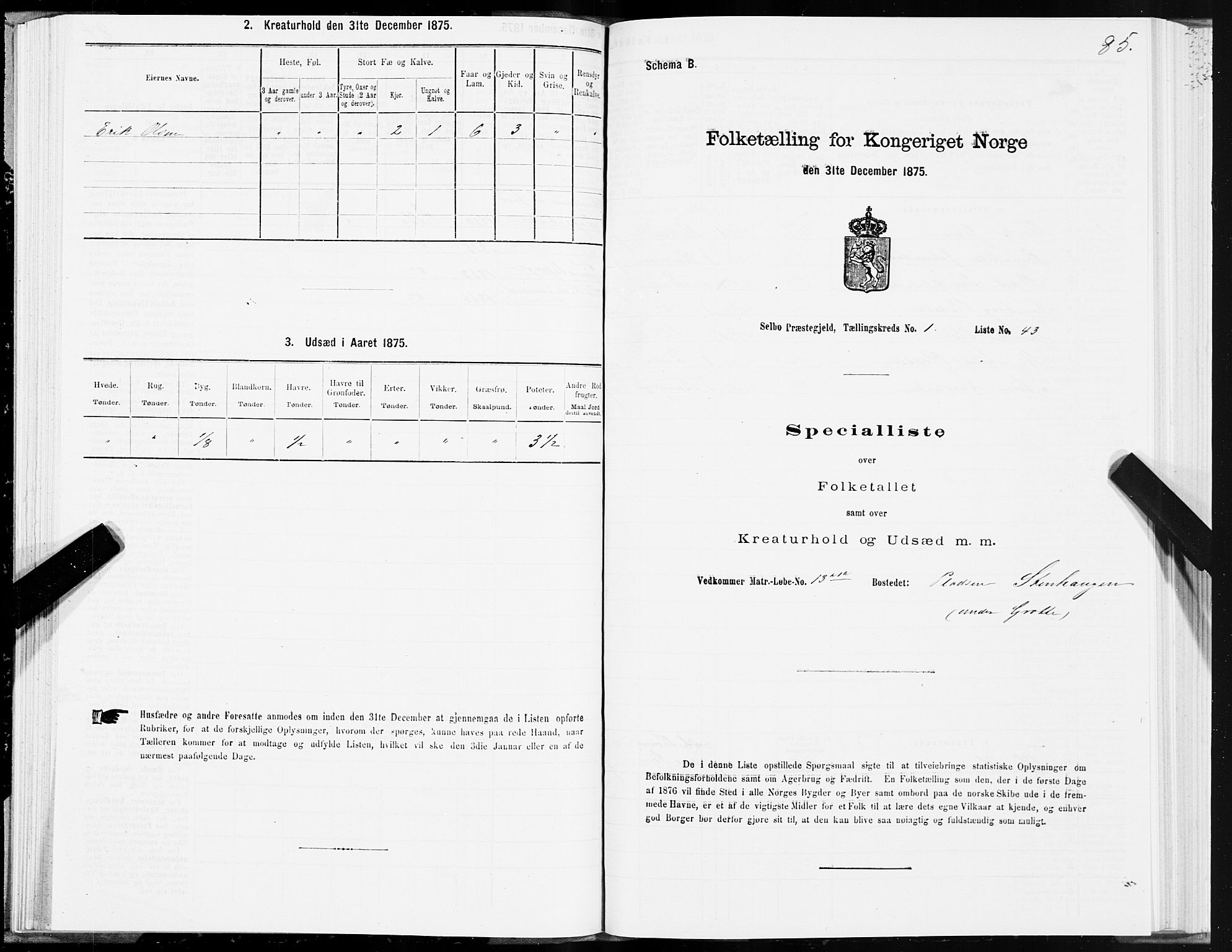 SAT, Folketelling 1875 for 1664P Selbu prestegjeld, 1875, s. 1085