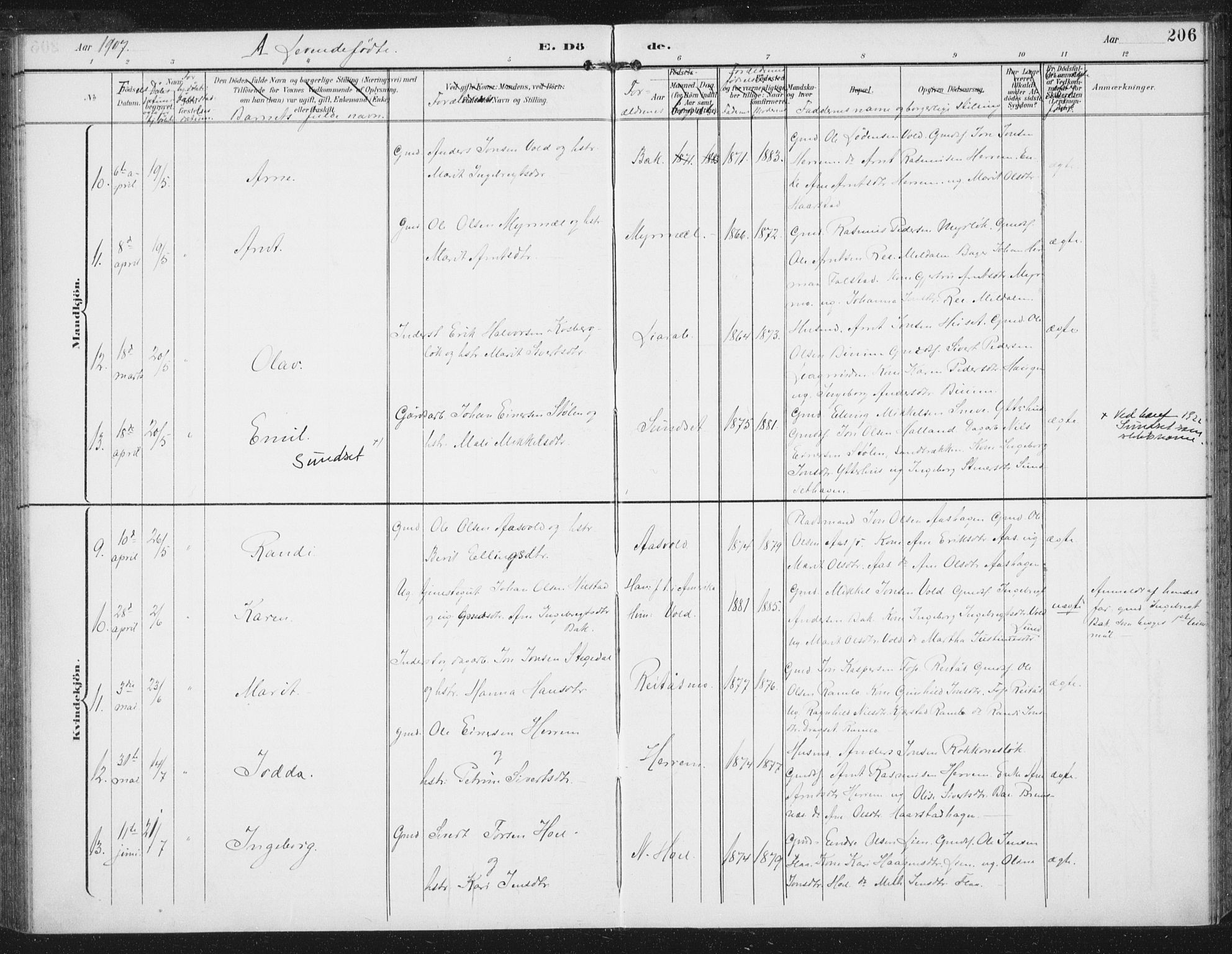 Ministerialprotokoller, klokkerbøker og fødselsregistre - Sør-Trøndelag, SAT/A-1456/674/L0872: Ministerialbok nr. 674A04, 1897-1907, s. 206