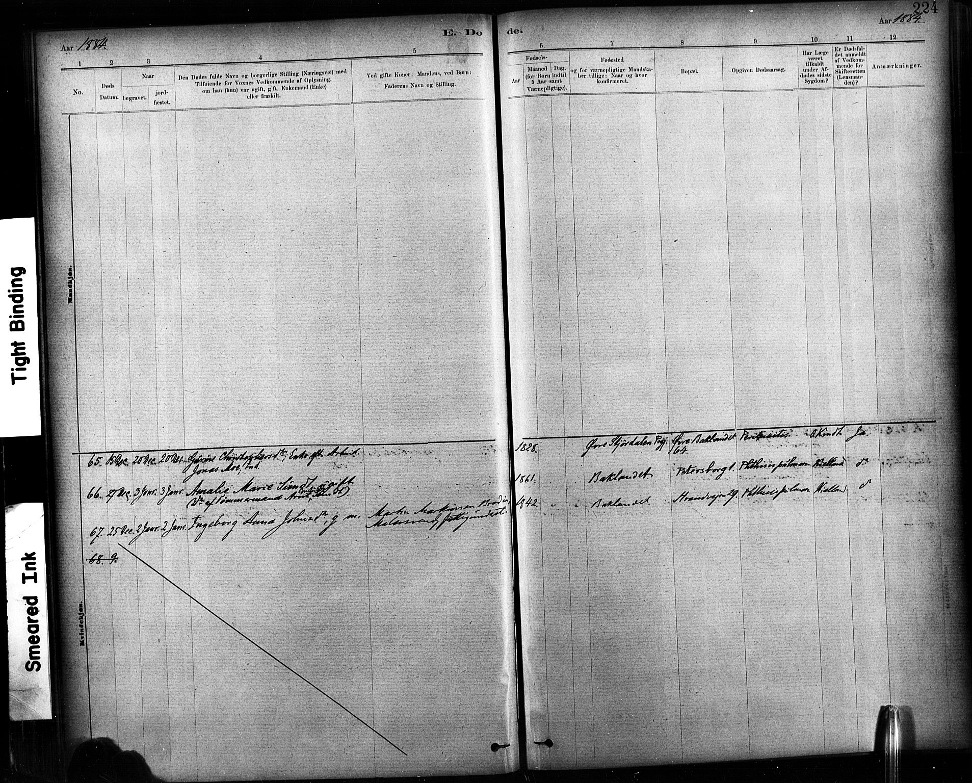Ministerialprotokoller, klokkerbøker og fødselsregistre - Sør-Trøndelag, SAT/A-1456/604/L0189: Ministerialbok nr. 604A10, 1878-1892, s. 224