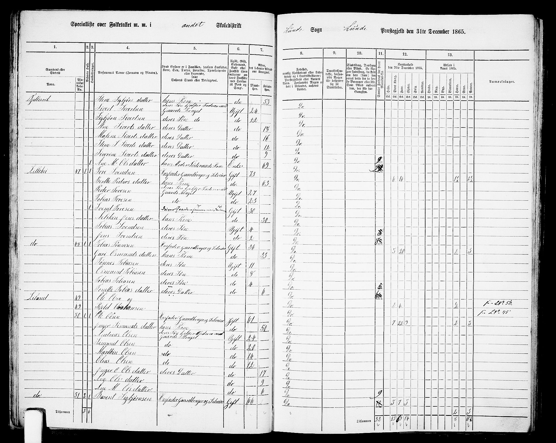 RA, Folketelling 1865 for 1112P Lund prestegjeld, 1865, s. 25