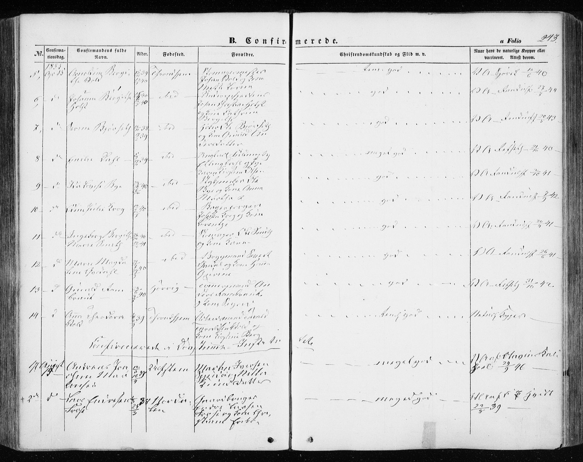 Ministerialprotokoller, klokkerbøker og fødselsregistre - Sør-Trøndelag, AV/SAT-A-1456/601/L0051: Ministerialbok nr. 601A19, 1848-1857, s. 243