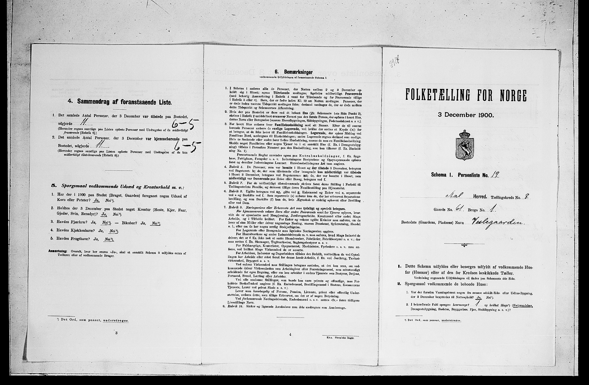 RA, Folketelling 1900 for 0619 Ål herred, 1900, s. 717