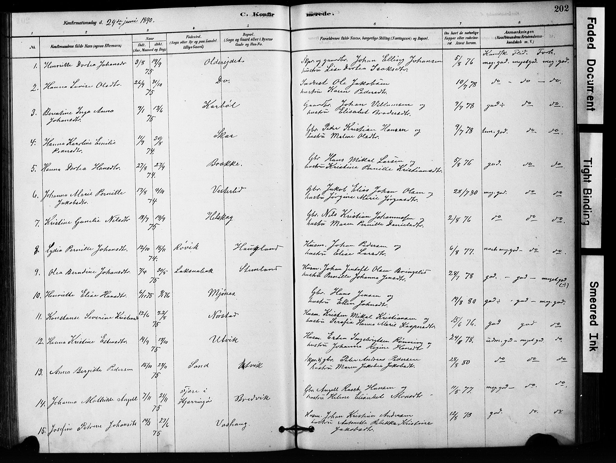 Ministerialprotokoller, klokkerbøker og fødselsregistre - Nordland, SAT/A-1459/852/L0754: Klokkerbok nr. 852C05, 1878-1894, s. 202