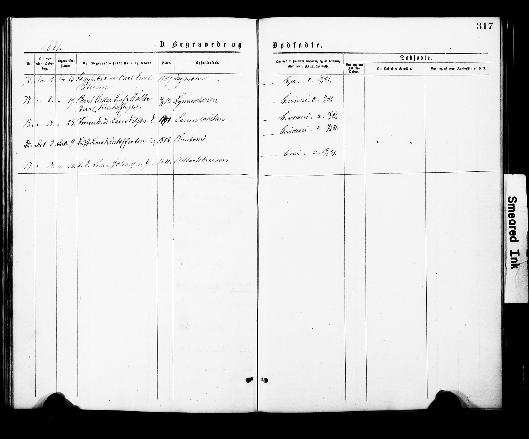Eidsvoll prestekontor Kirkebøker, SAO/A-10888/F/Fa/L0001: Ministerialbok nr. I 1, 1877-1881, s. 317