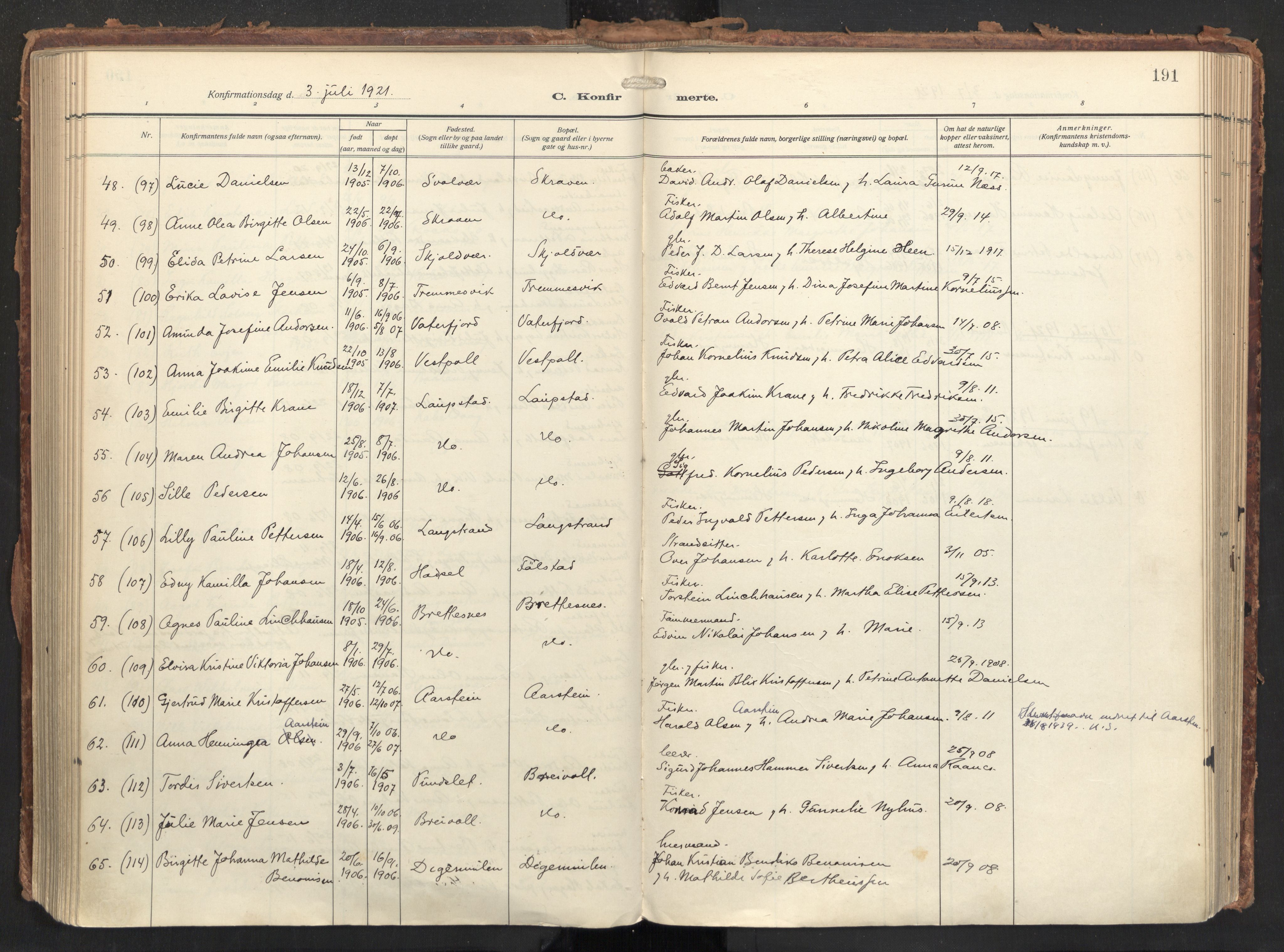 Ministerialprotokoller, klokkerbøker og fødselsregistre - Nordland, AV/SAT-A-1459/874/L1064: Ministerialbok nr. 874A08, 1915-1926, s. 191