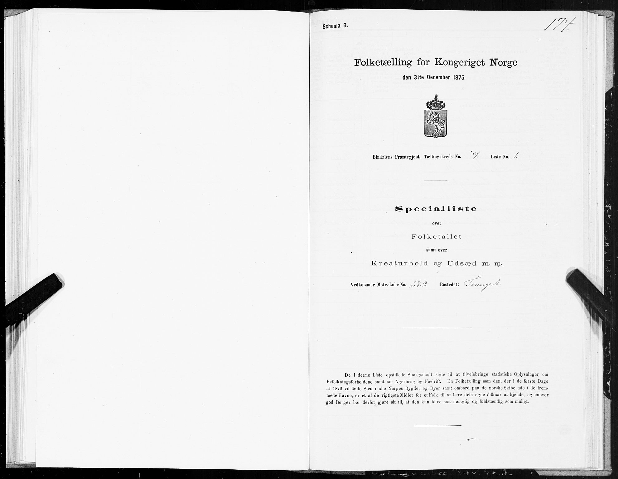 SAT, Folketelling 1875 for 1811P Bindal prestegjeld, 1875, s. 2174
