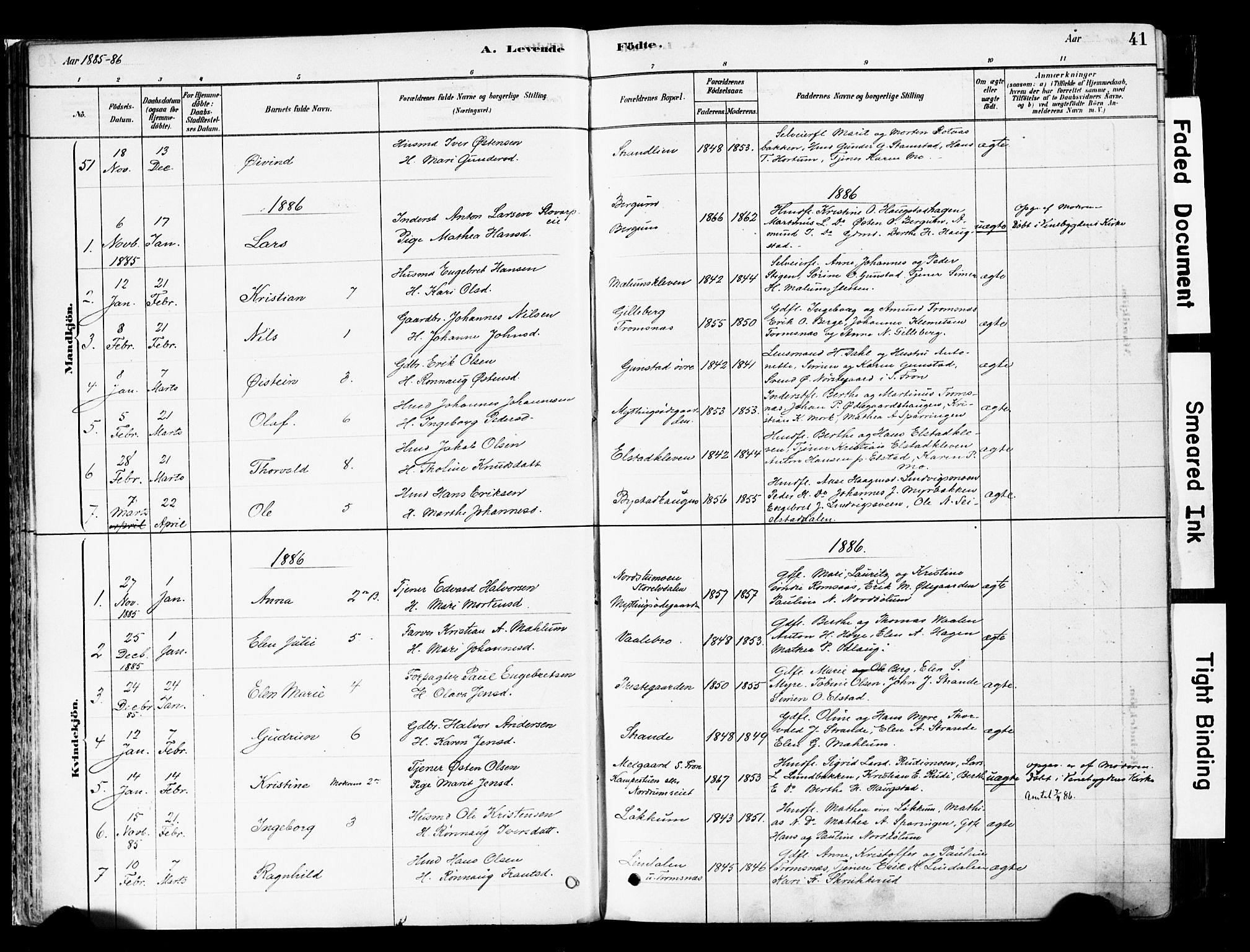 Ringebu prestekontor, SAH/PREST-082/H/Ha/Haa/L0008: Ministerialbok nr. 8, 1878-1898, s. 41