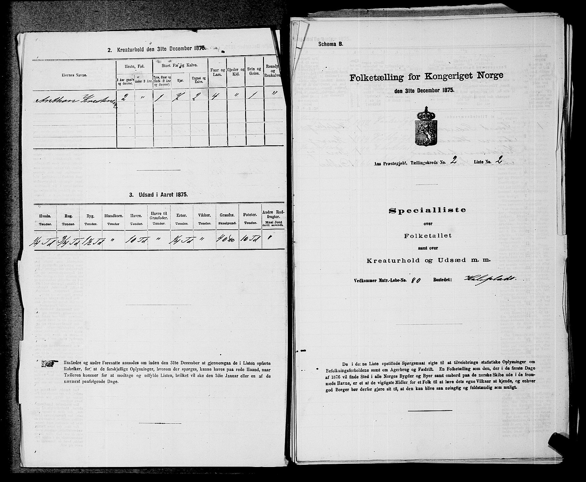 RA, Folketelling 1875 for 0214P Ås prestegjeld, 1875, s. 198