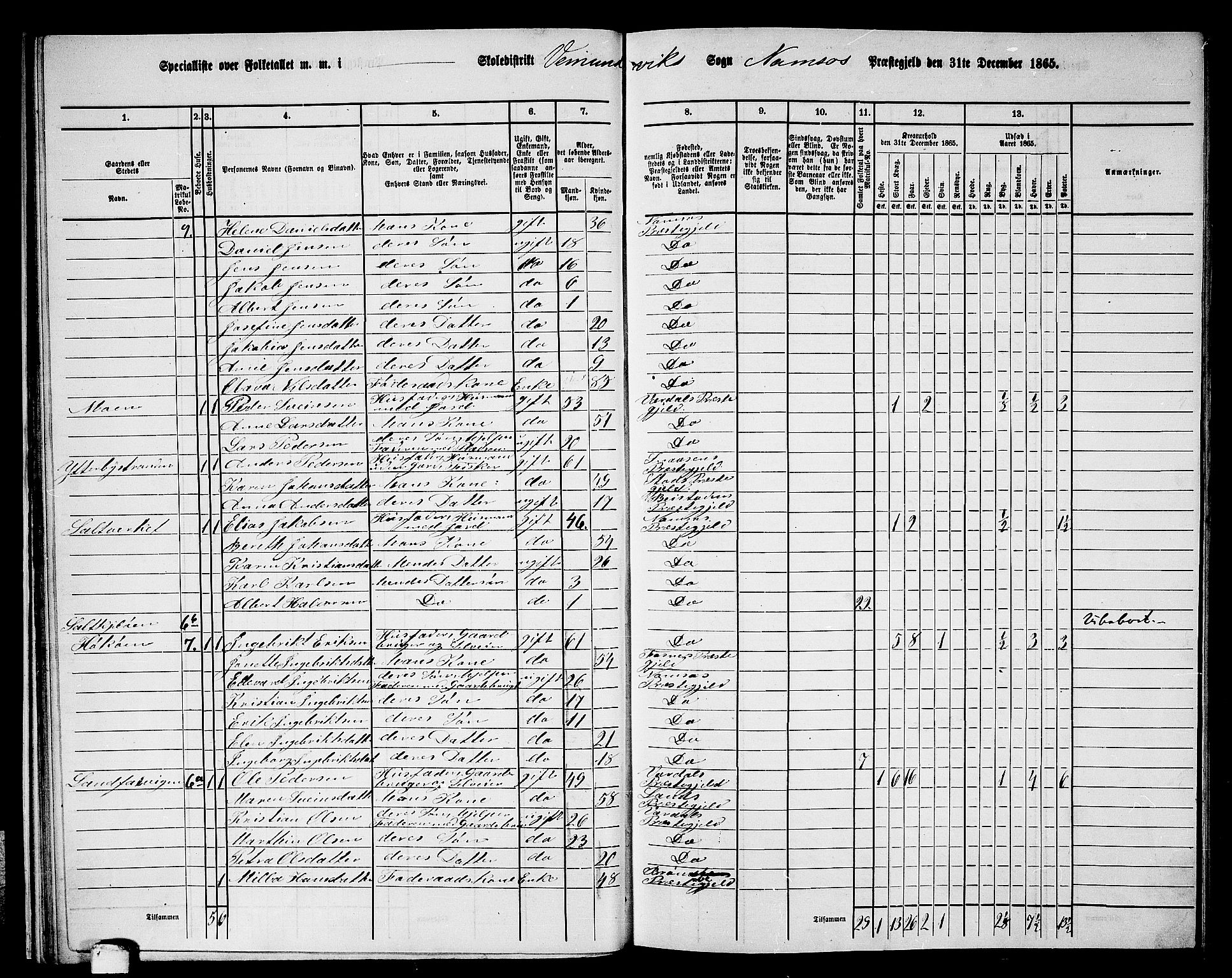 RA, Folketelling 1865 for 1745L Namsos prestegjeld, Vemundvik sokn og Sævik sokn, 1865, s. 24