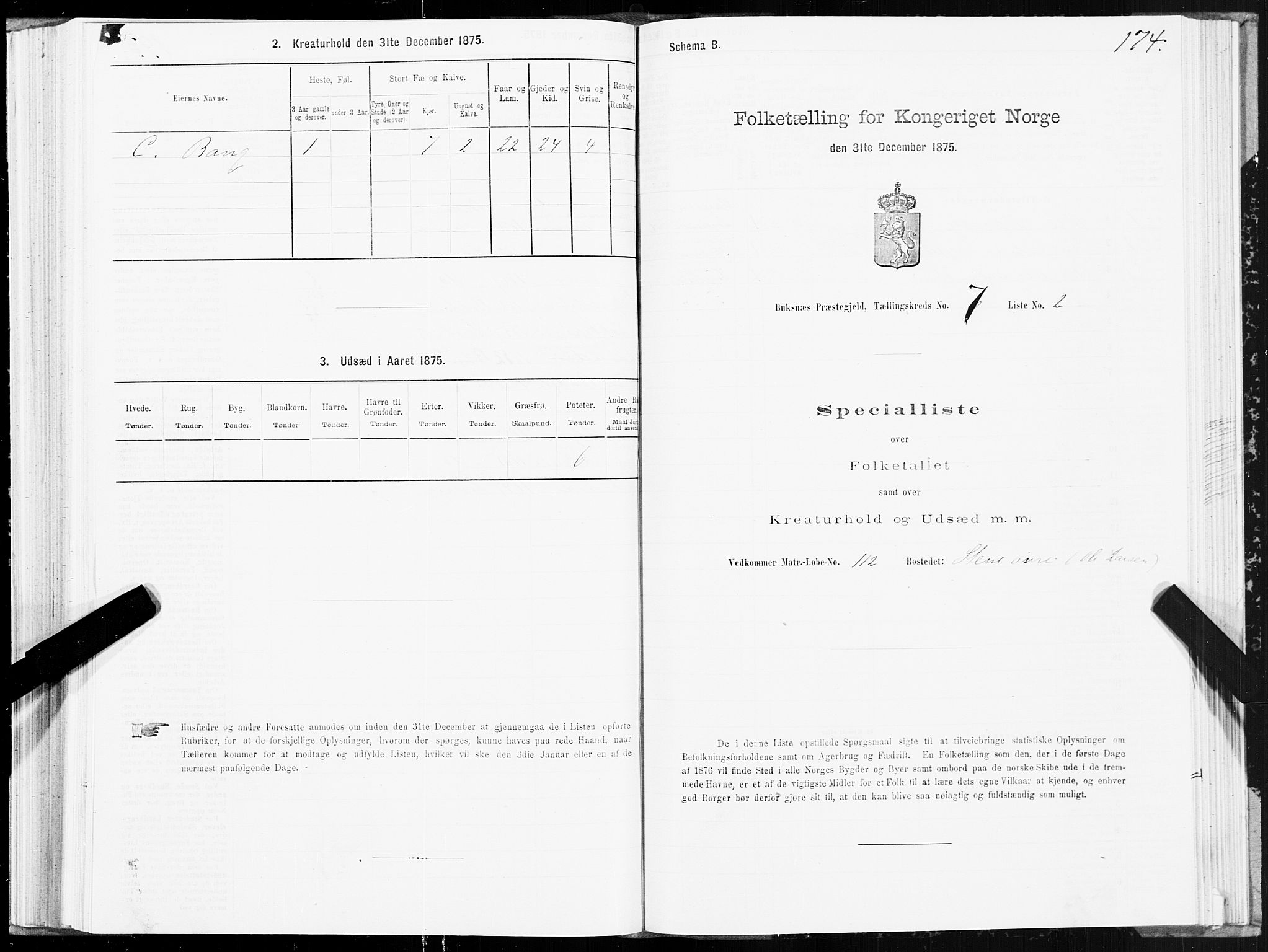 SAT, Folketelling 1875 for 1860P Buksnes prestegjeld, 1875, s. 3174