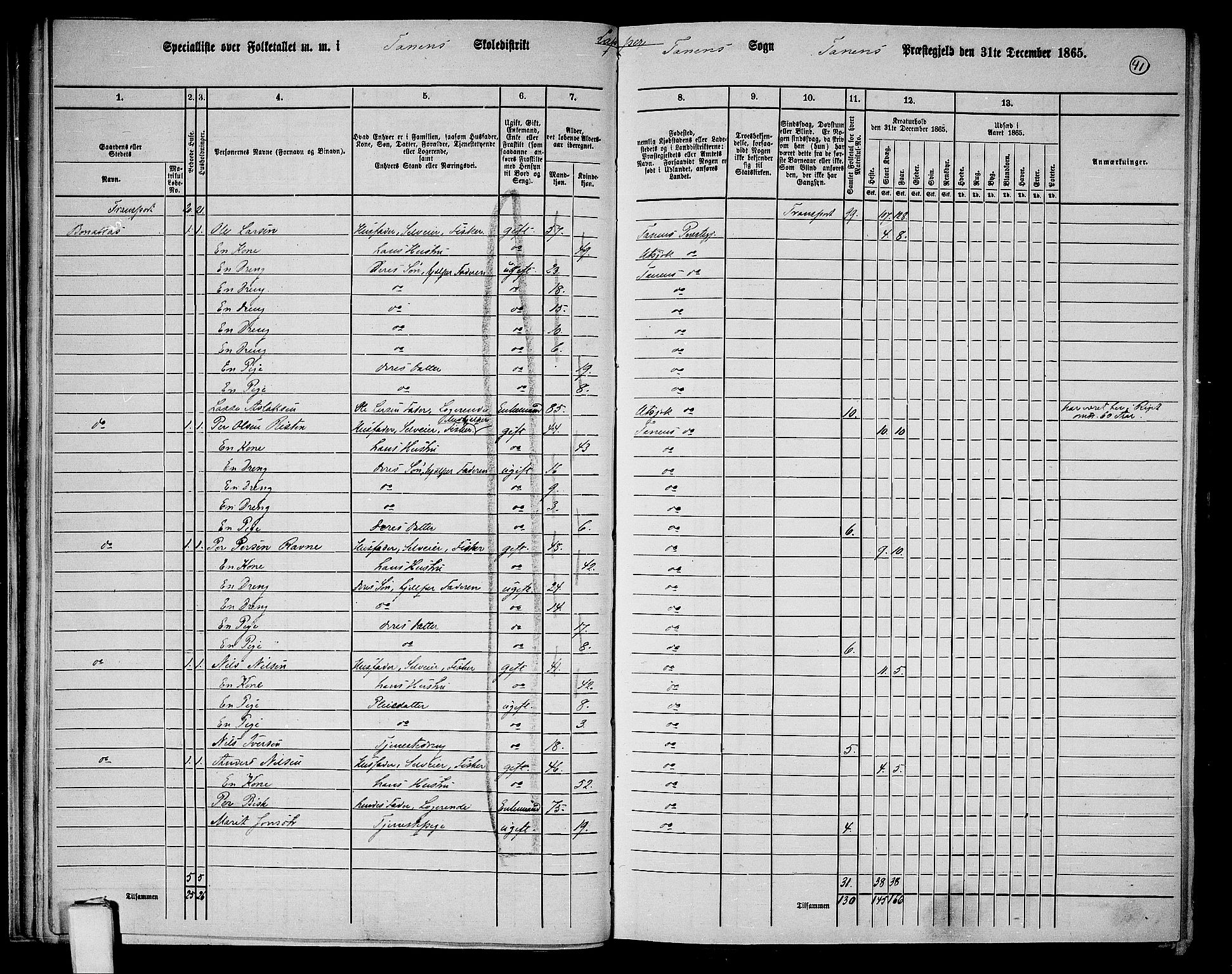 RA, Folketelling 1865 for 2025P Tana prestegjeld, 1865, s. 31