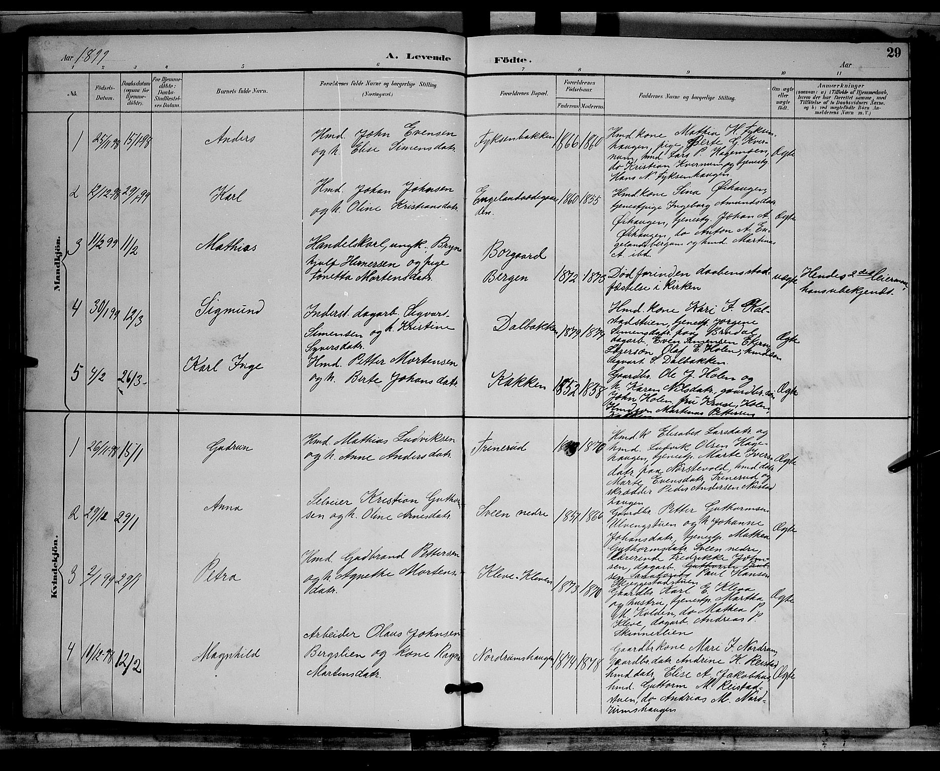 Østre Gausdal prestekontor, AV/SAH-PREST-092/H/Ha/Hab/L0002: Klokkerbok nr. 2, 1894-1904, s. 29