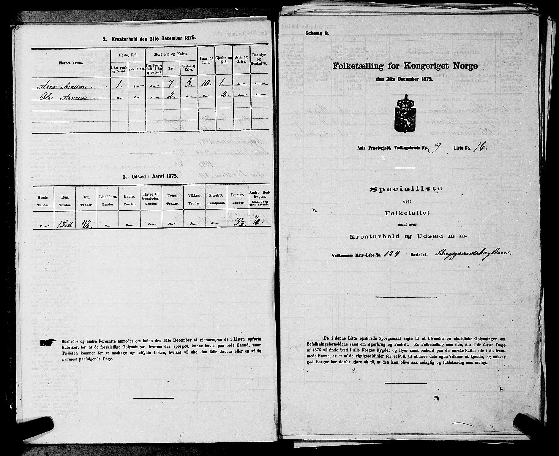 SAKO, Folketelling 1875 for 0619P Ål prestegjeld, 1875, s. 1123